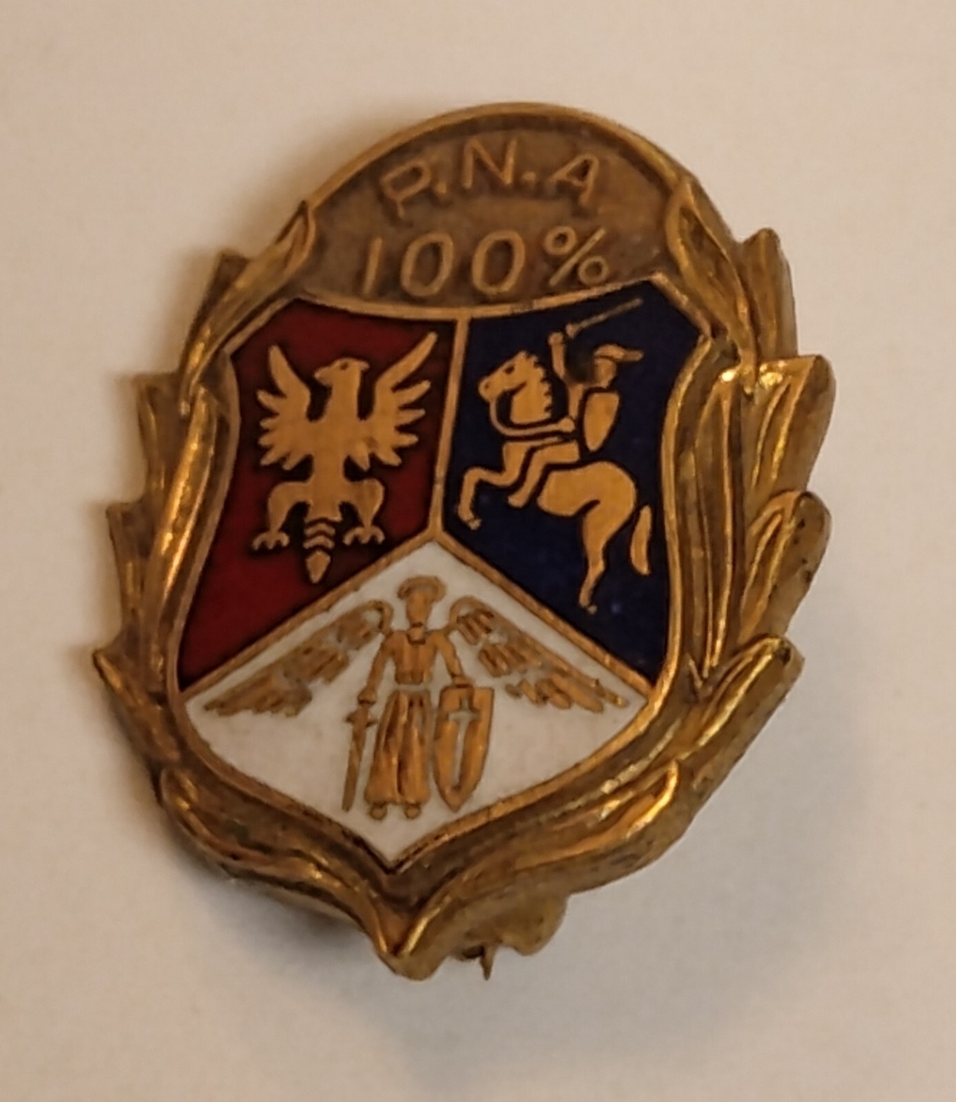 Vintage PNA 100% Polish National Alliance Lapel Pin