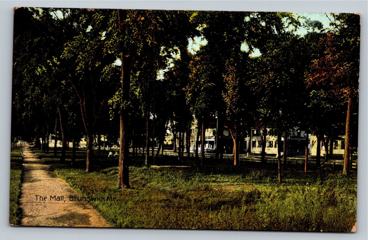 The Mall, Brunswick Maine Postcard 1908 - Tree-Lined Path, ME