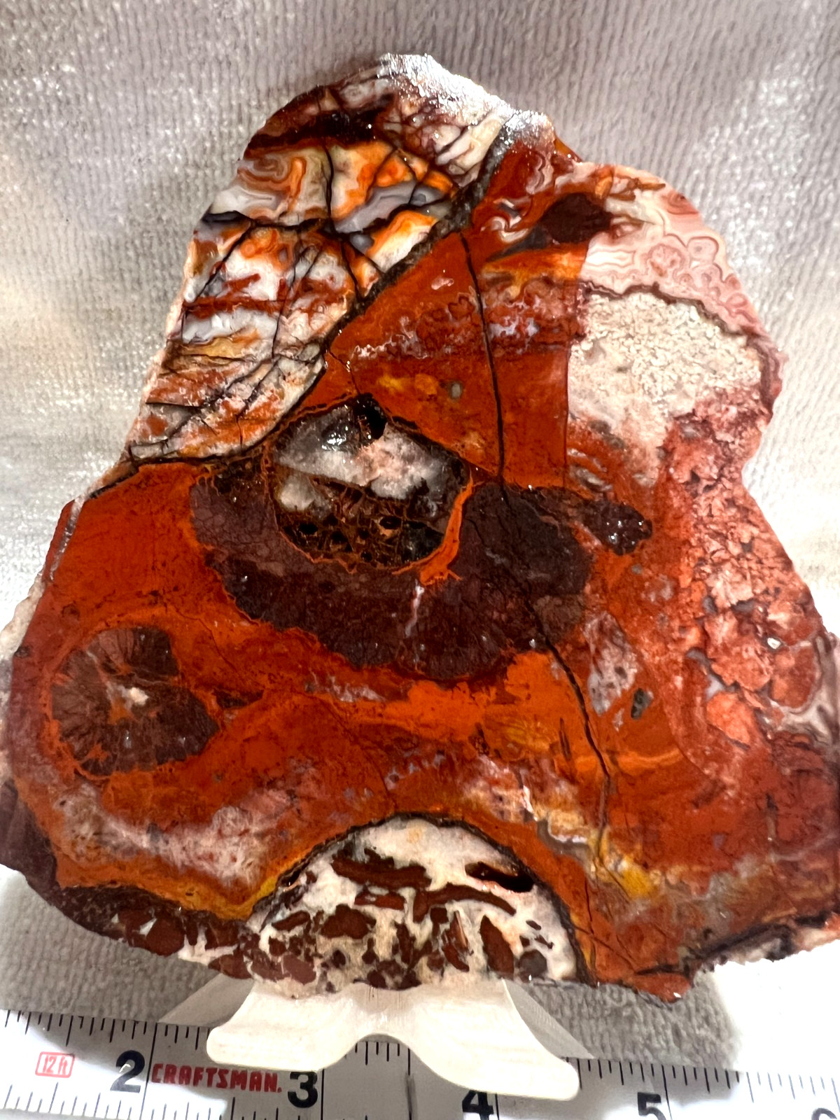 Large Mexican Crazy Lace Slab - 224g Large Mexican Crazy Lace Slab - 224g