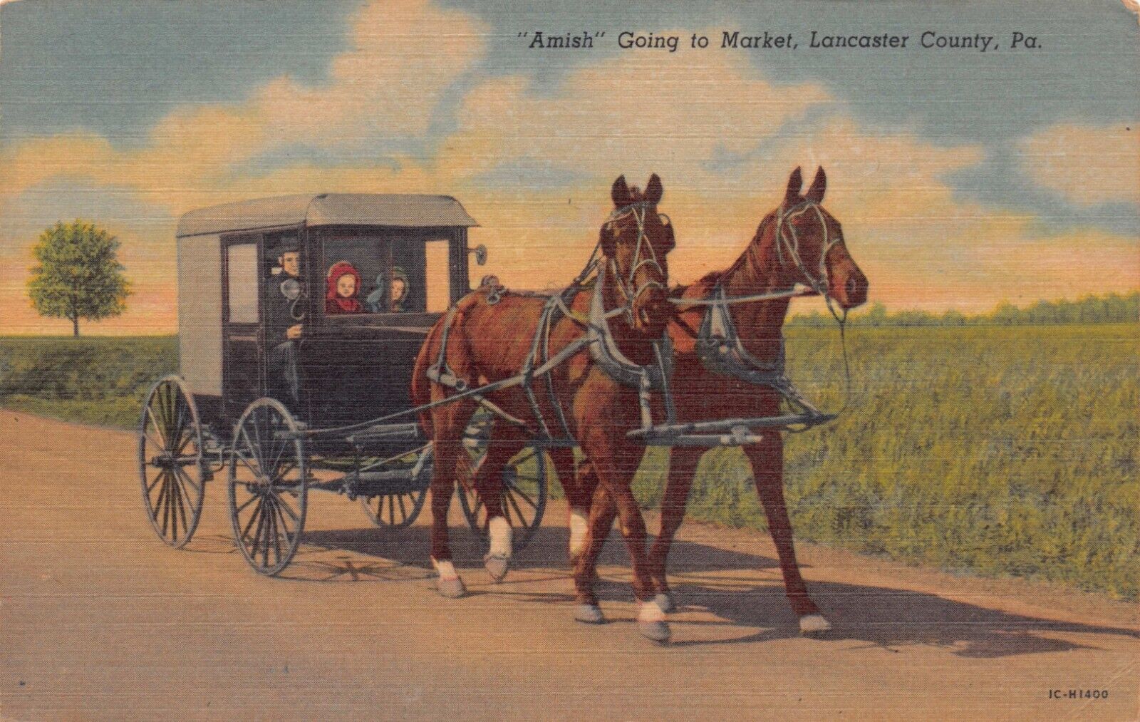 Lancaster County PA Amish Life Intercourse Soudersburg Ronks Vtg Postcard CP375