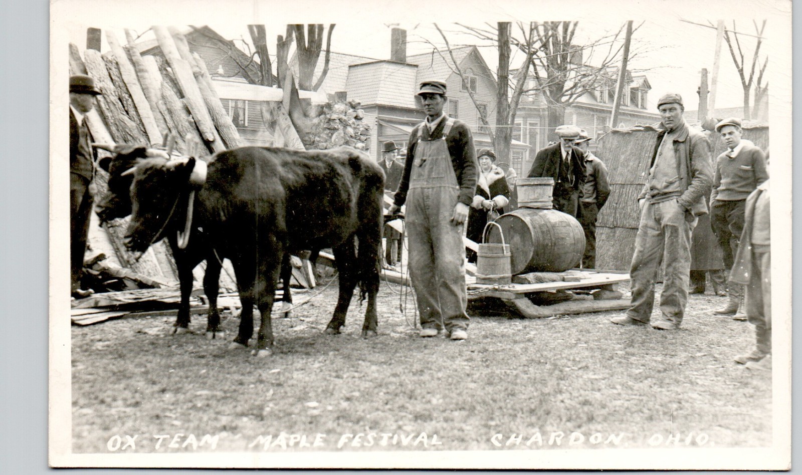 OX TEAM, MAPLE FEST chardon oh c1940 postcard ohio real photo rppc pioneers