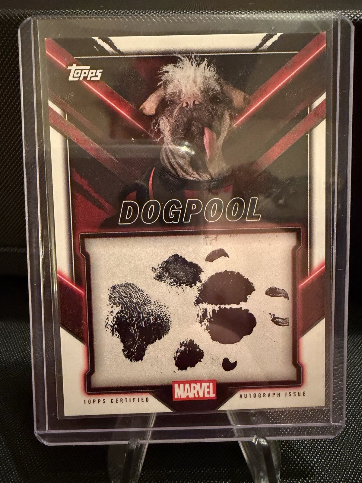 2025 Topps Deadpool Chrome - Peggy the Dog as Dogpool Pawtograph Auto #TC-D
