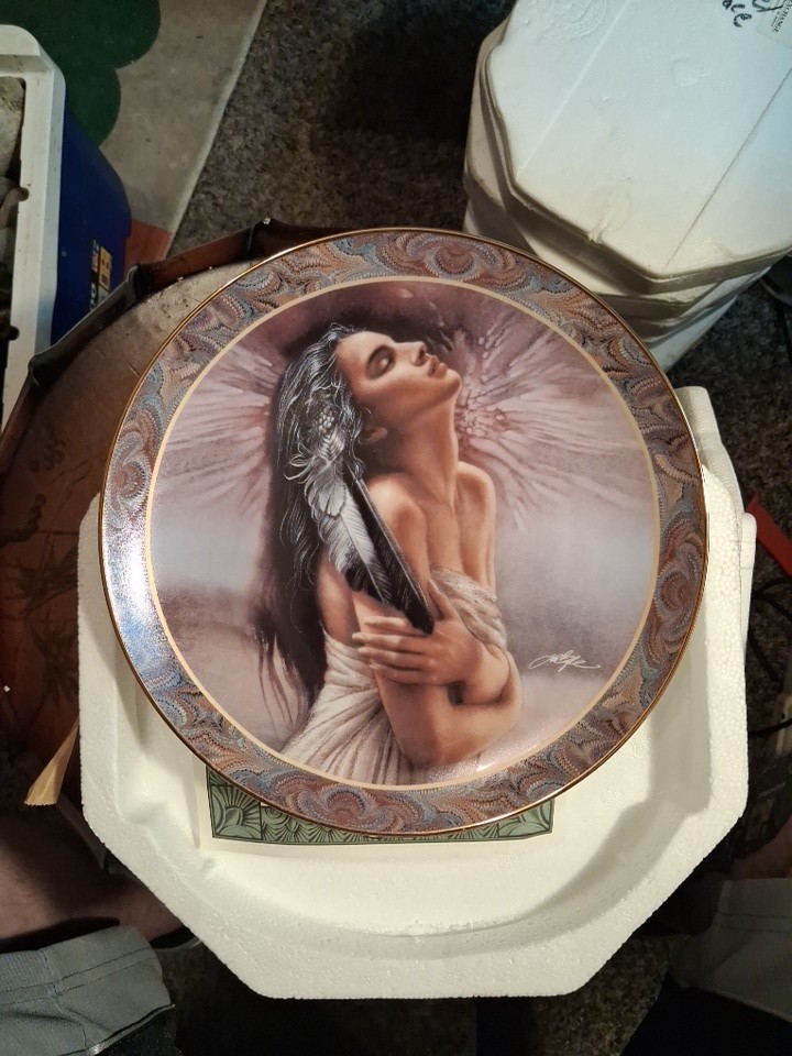 Afterglow Native Beauty Bradex Limited Edition Collector Plate ~ Afterglow Native Beauty Bradex Limited Edition Collector Plate ~