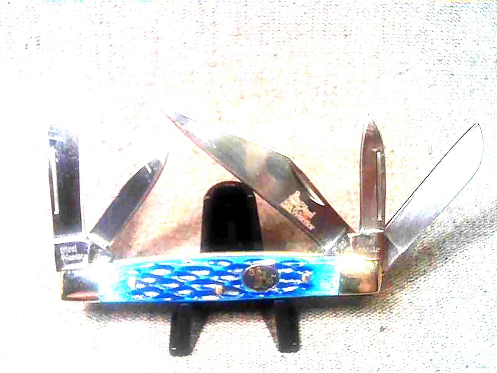 SALE Classic 5-Blade Kentucky Congress Knife Blue Cancun Bone Handles, 3-1/2