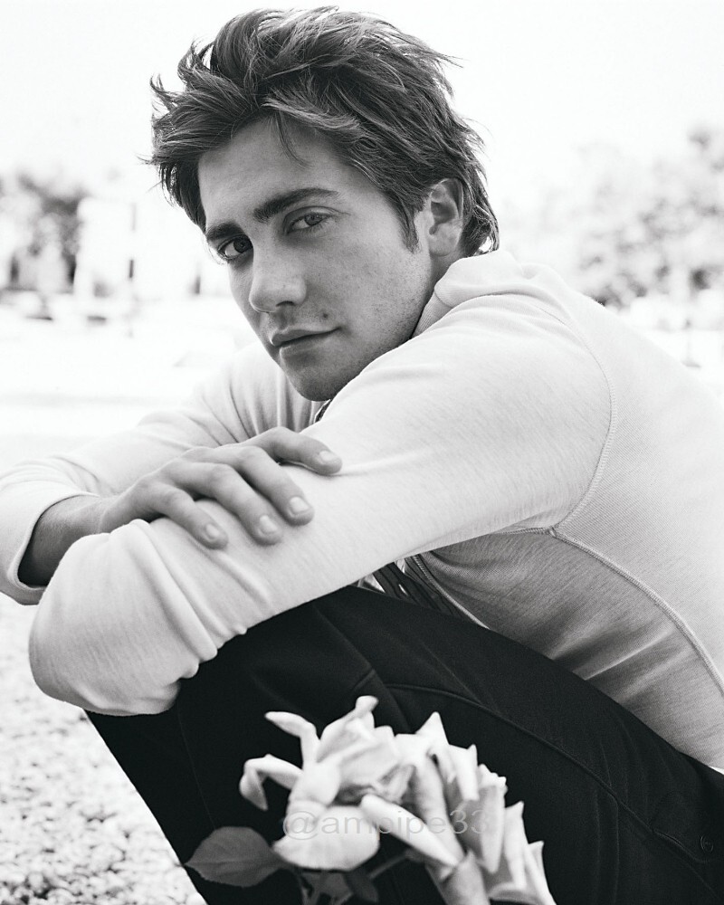 8x10 JAKE GYLLENHAAL GLOSSY PHOTO photograph picture print hot sexy cute