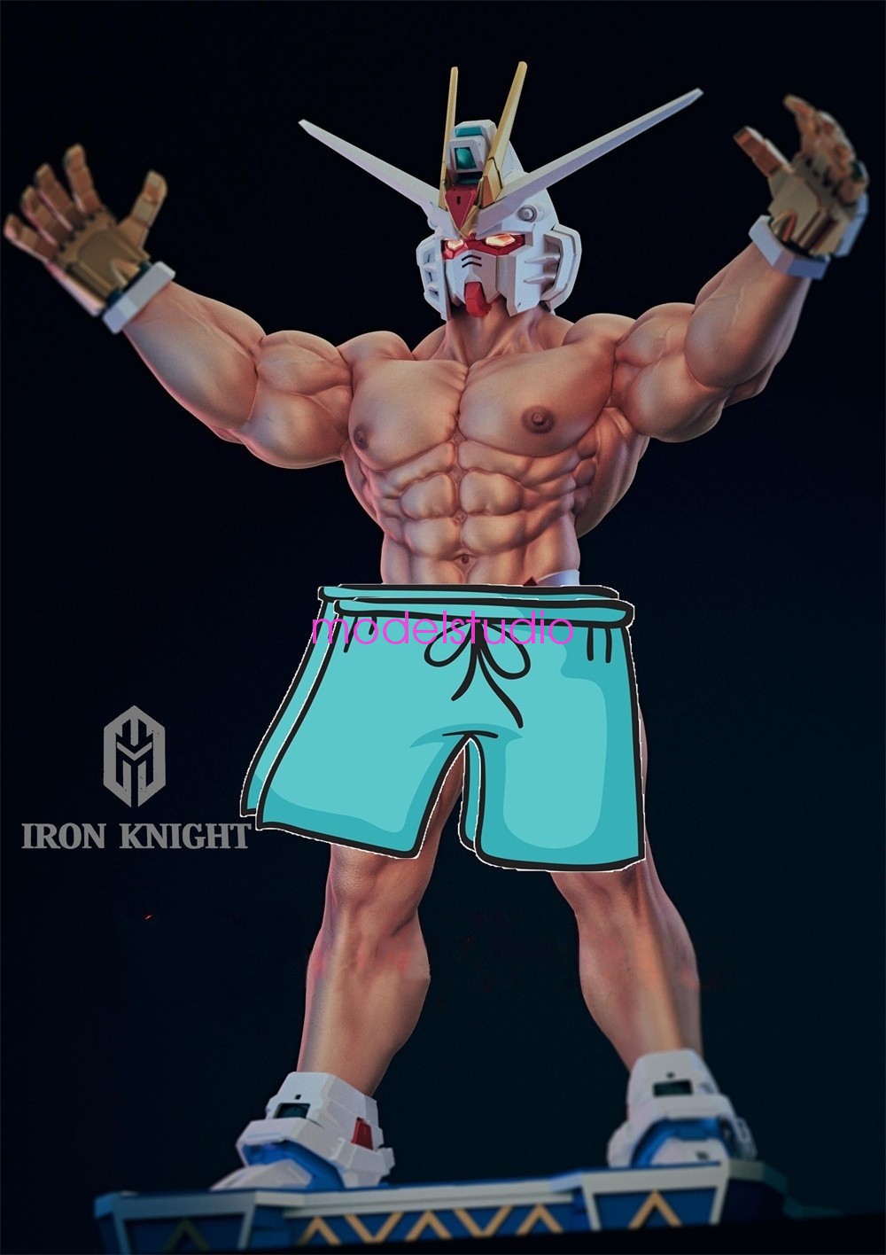 Freedom Fighter Model Pre-order IRON KNIGHT Studio 1/6 Scale Painted Replaceable