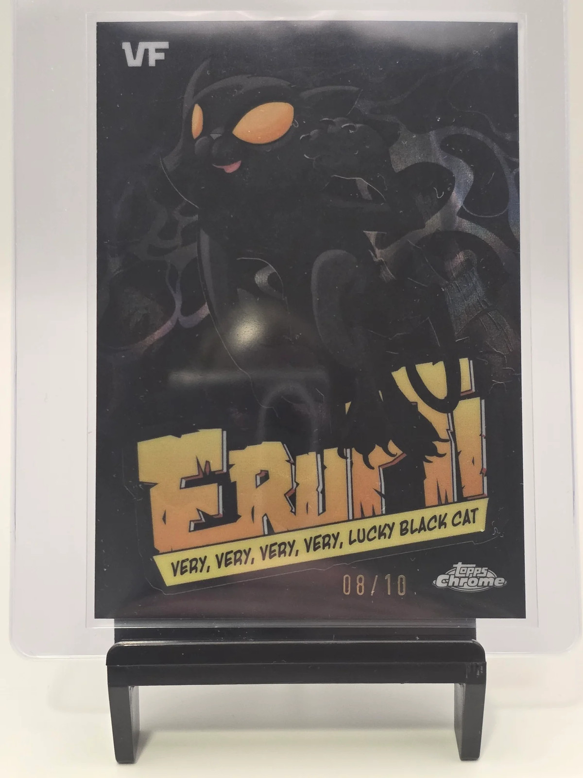 The only Very Very Very Lucky Black Cat 