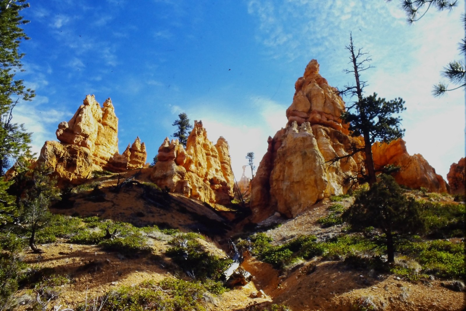 c1970\'s 35mm Slide, Bryce Canyon National Park Hoodoos Utah American Landscape c1970\'s 35mm Slide, Bryce Canyon National Park Hoodoos Utah American Landscape