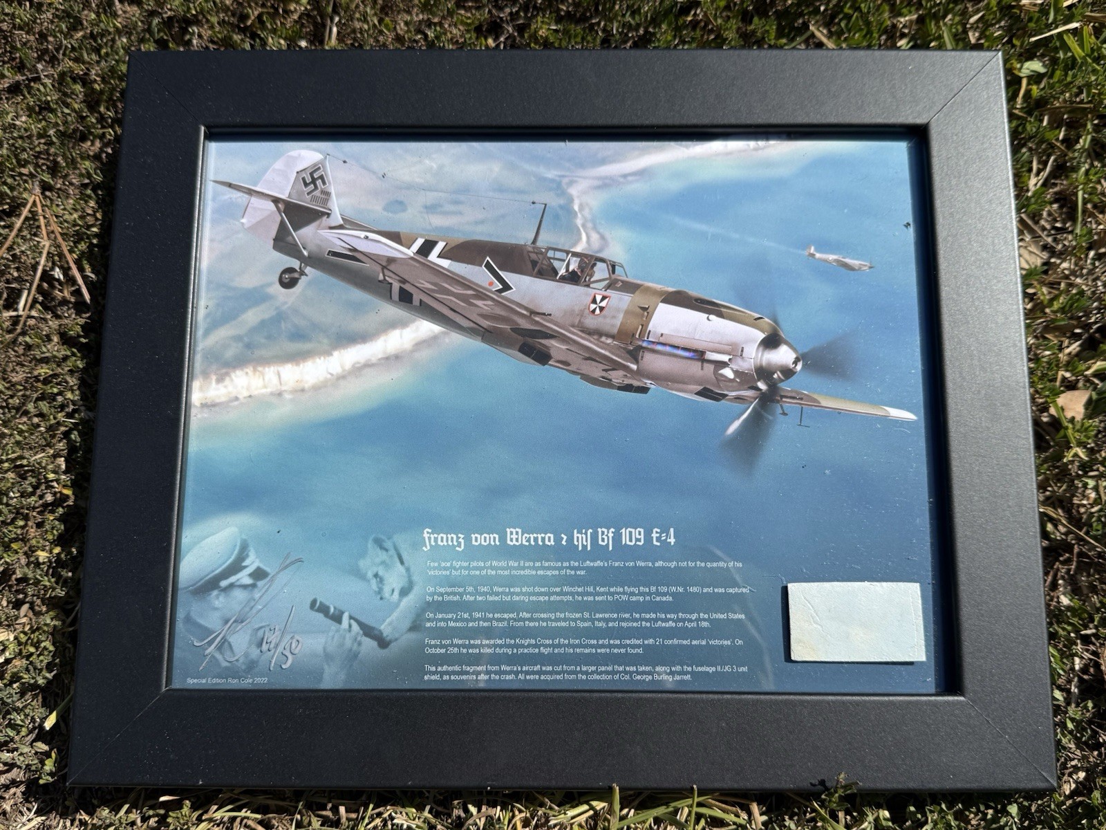 Ron Cole Art Luftwaffe Bf 109 \'Ace\'Franz von Werra Authentic Relic Display 17/50