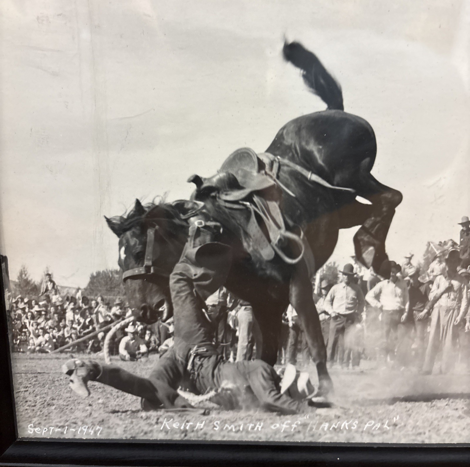 Antique Original Rodeo Photo of Keith Smith Wracking Off Hanks Pal Marked 1947 Antique Original Rodeo Photo of Keith Smith Wracking Off Hanks Pal Marked 1947