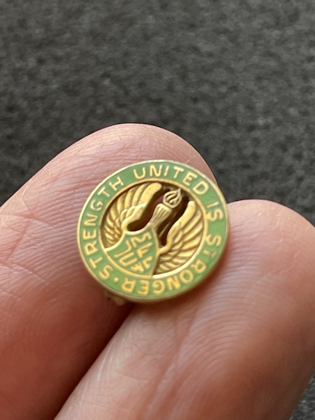 Vintage Junior CFWC California Women’s Clubs Pin - “Strength United Is Stronger”