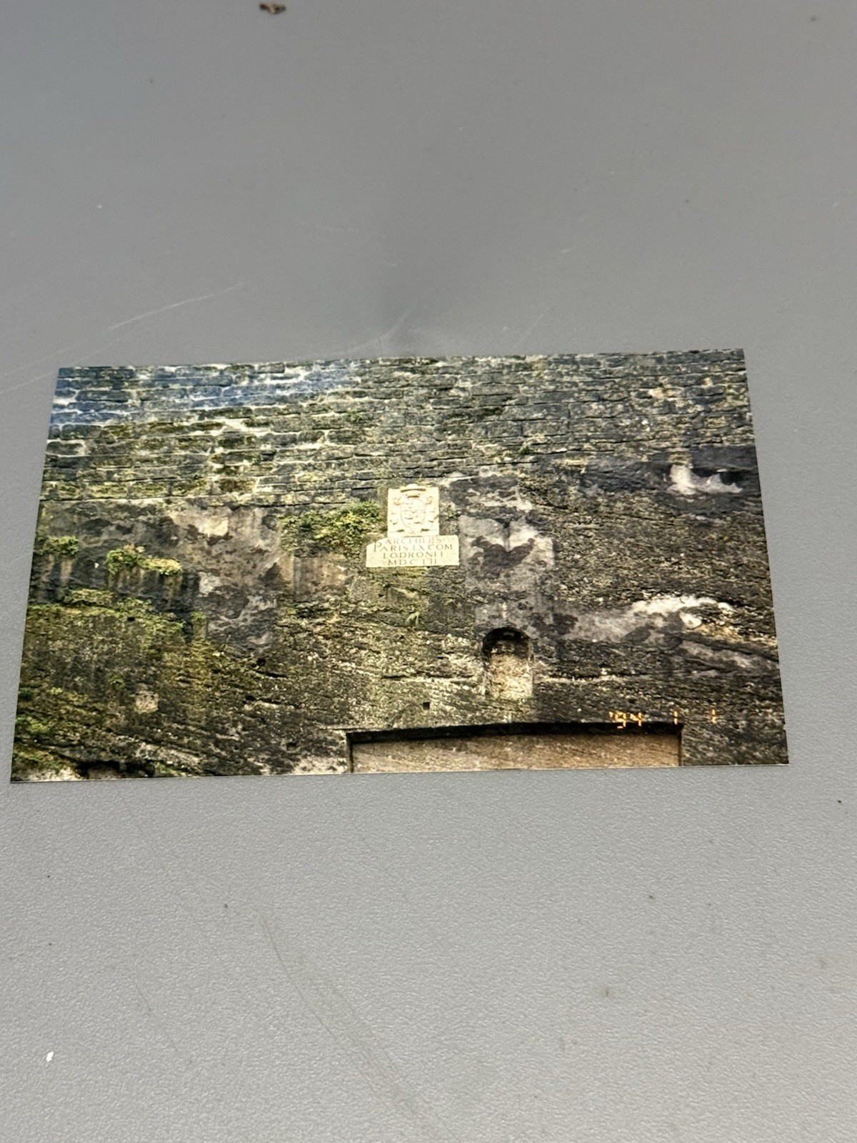 1994 4x6 Photo Paris Lodron Coat of Arms Stone Wall Salzburg Austria Vintage
