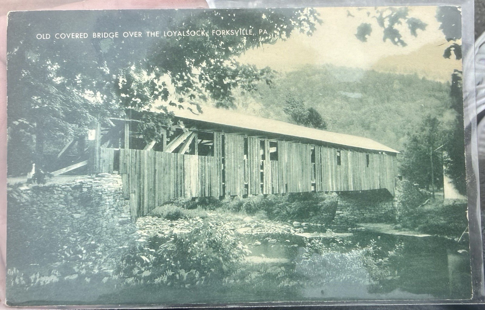 VINTAGE POSTCARD OLD COVERED BRIDGE LOYALSOCK CREEK FORKSVILLE PA