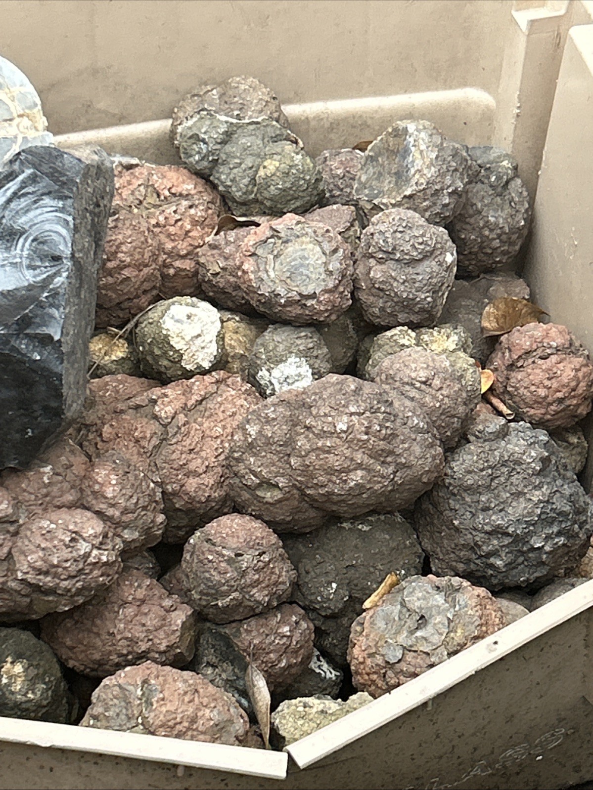 (1-2 LB LOT)=(5-20 Uncut Rough Oregon Thundereggs) Lapidary Agate Rocks Geode