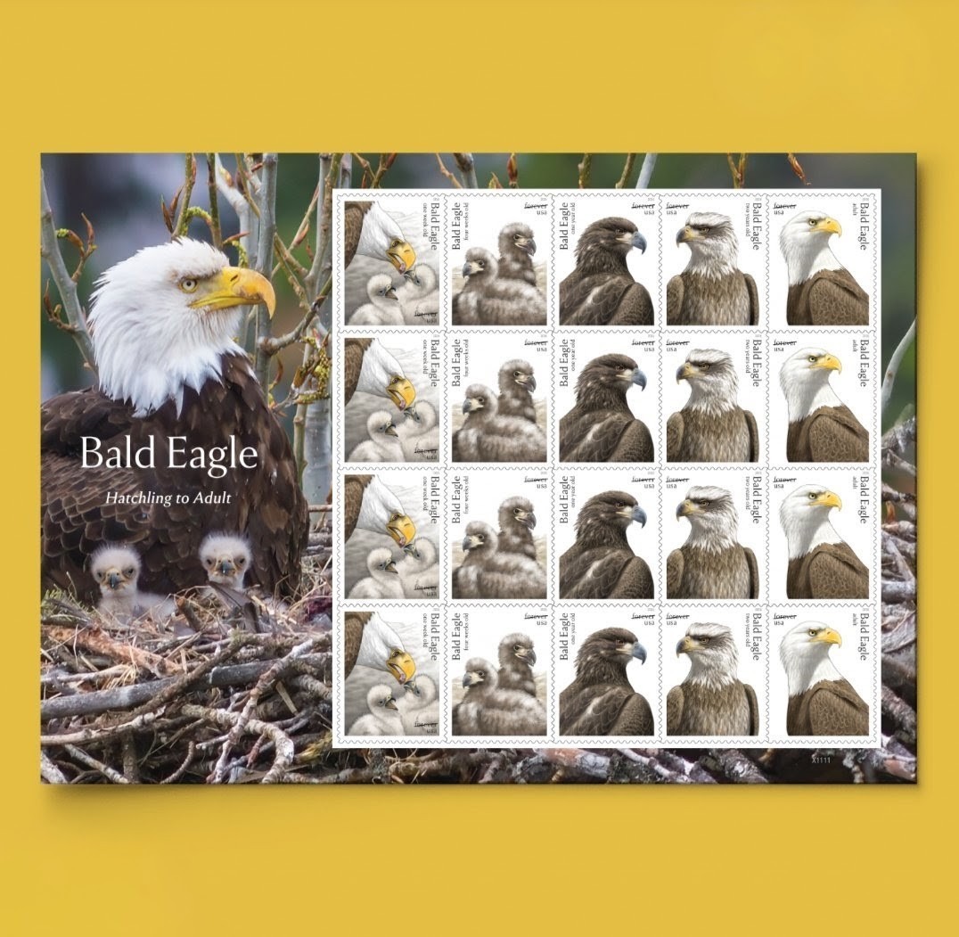 2026 Bald Eagle Forever Stamps Sheet of 20 Nature, Birds, Eagle