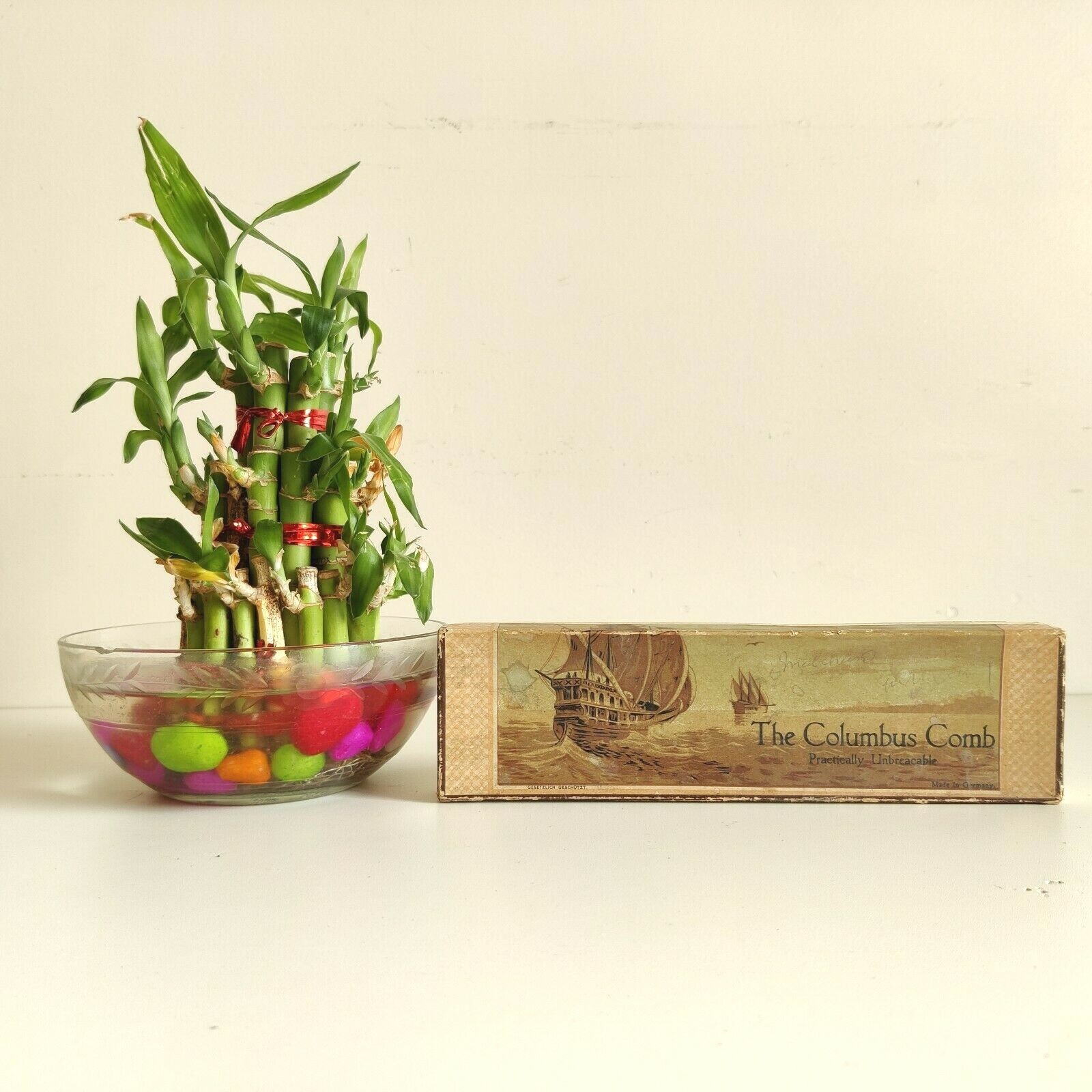 1920s Vintage The Columbus Comb Advertising Cardboard Box Germany Rare CB456