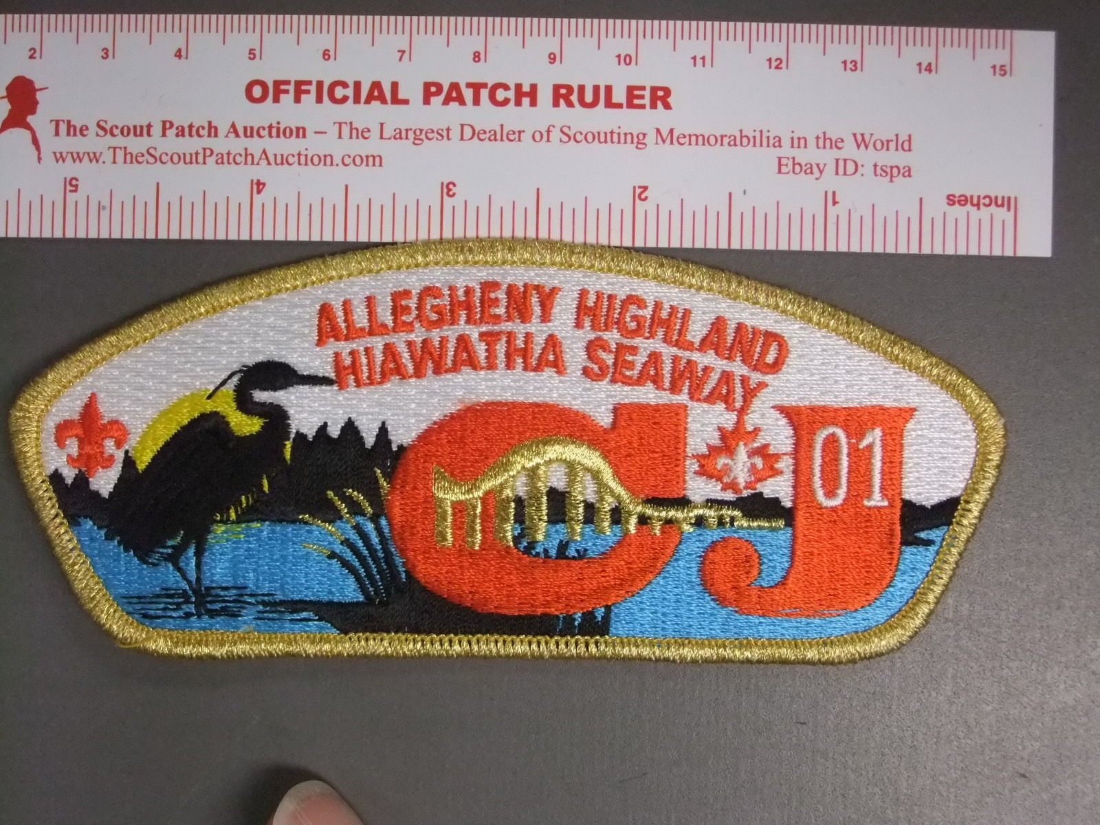 Boy Scout Allegheny Highlands Hiawatha Seaway Council CJ 2001 JSP 9366LL
