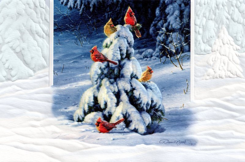 16 Boxed Embossed Christmas Cards Cardinals on Snow Covered Evergreen