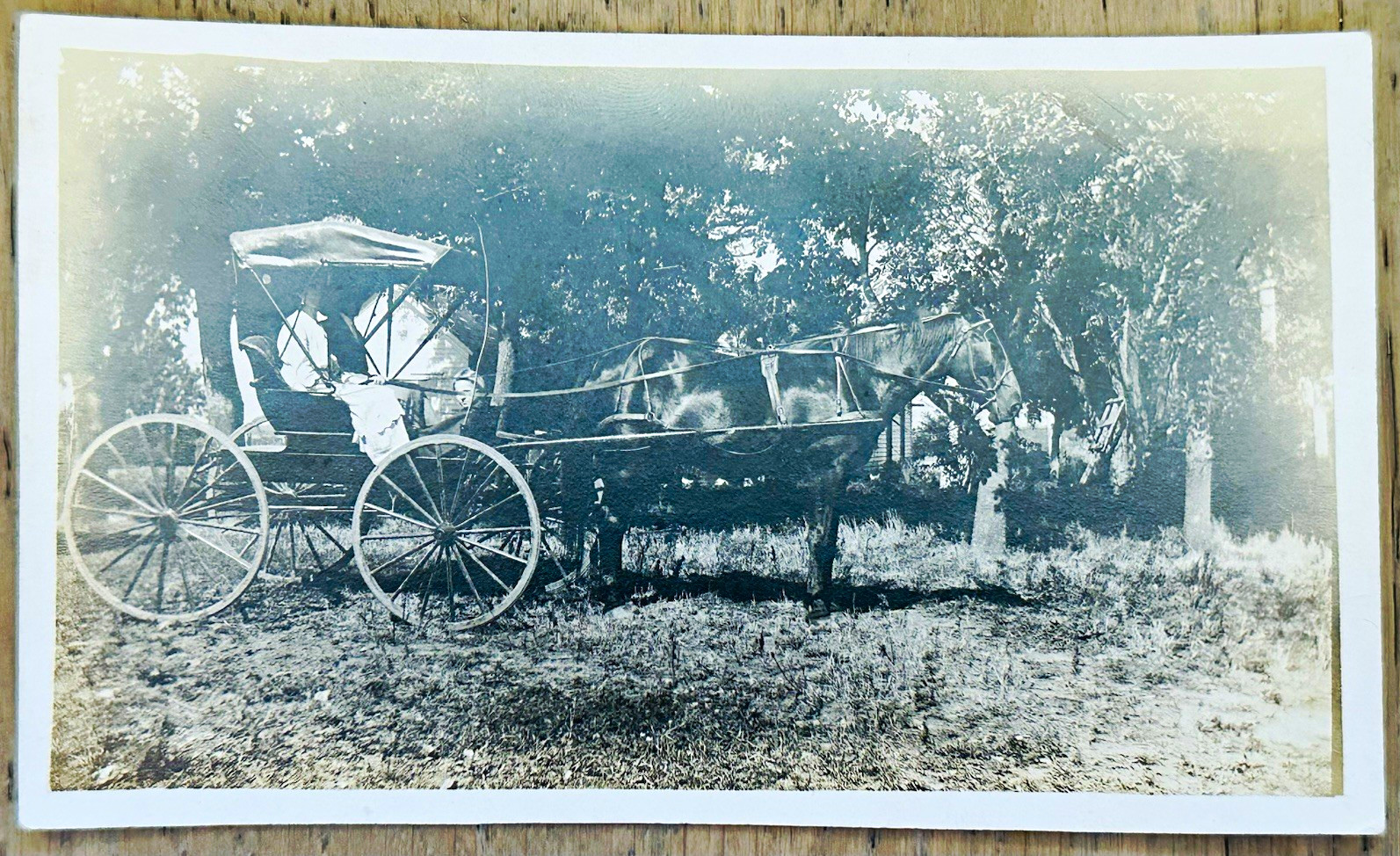 Vintage RPPC Horse and Buggy Bee Lucy Jessie Stickley Named Family AZO 1910s