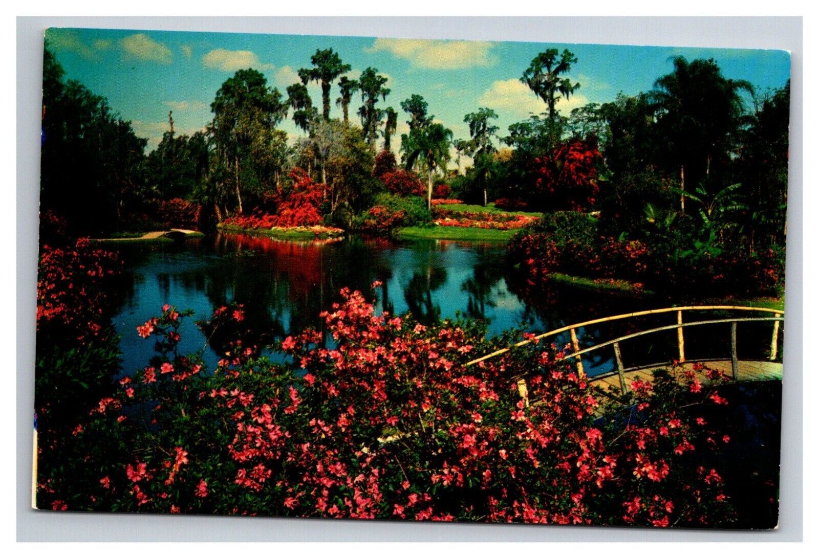 Postcard Florida Cypress Gardens Greetings