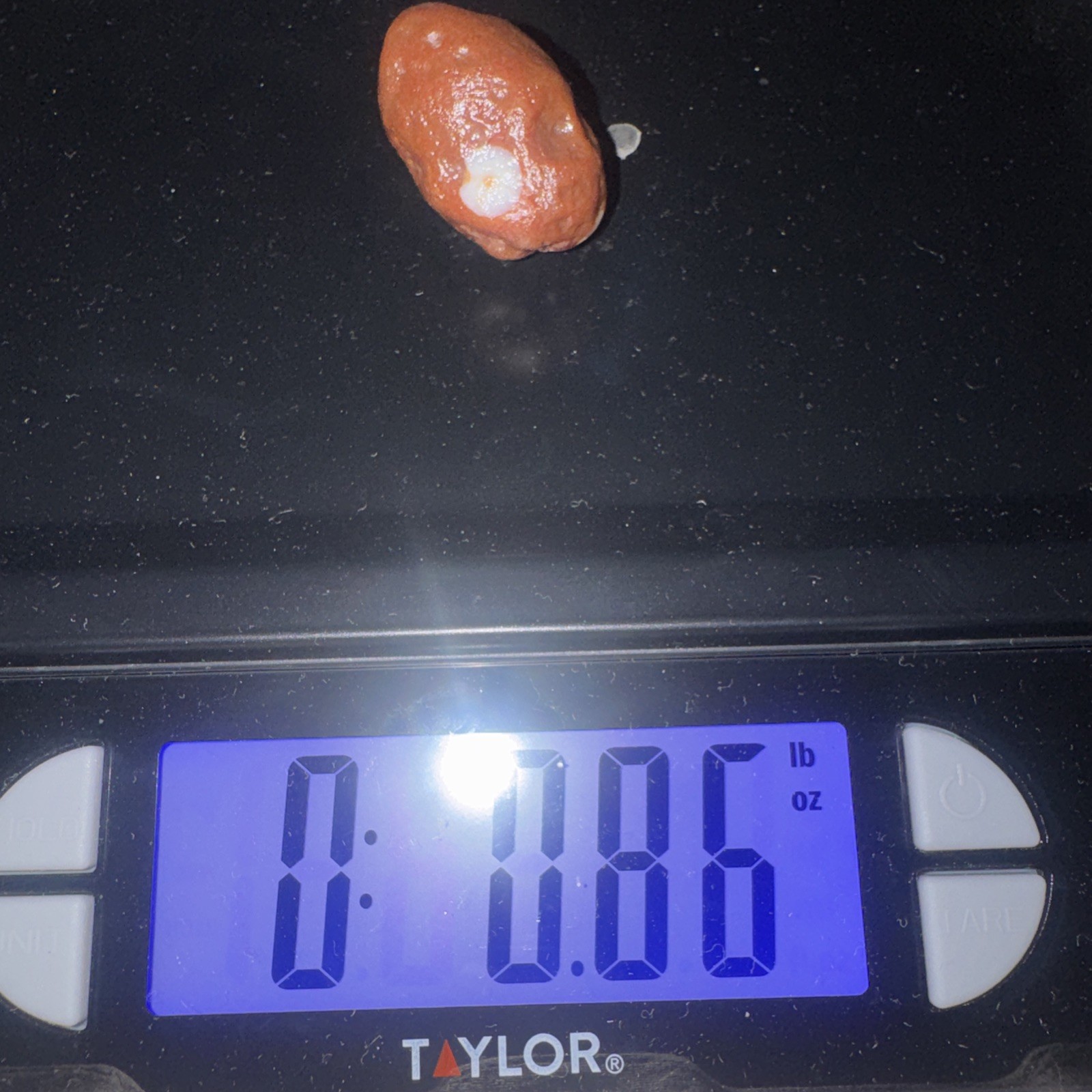 Lake Superior Agate Eye Ball 1.5