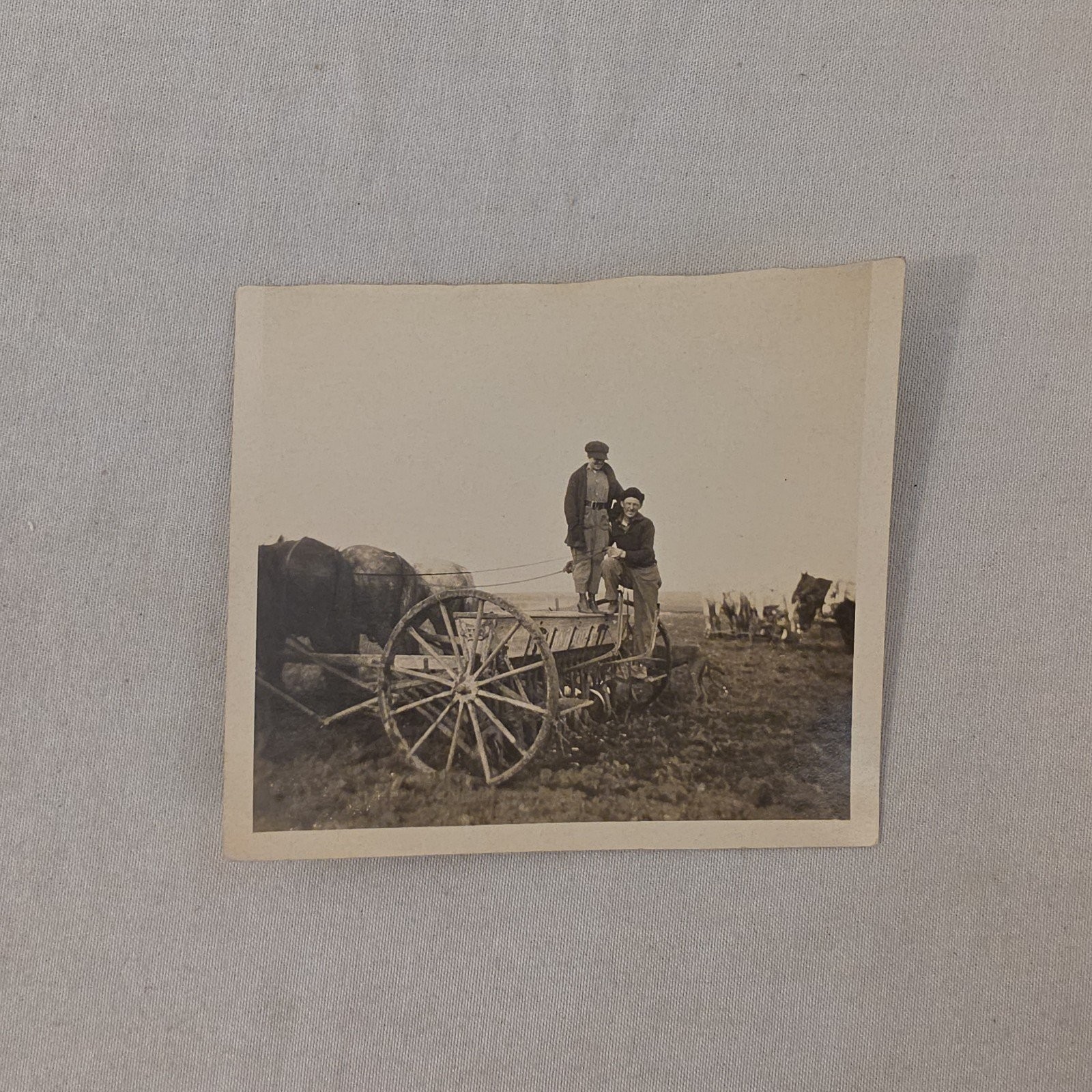 1922 South Dakota Farm Seeder Grain Drill Horse Team Antique B&W Photo