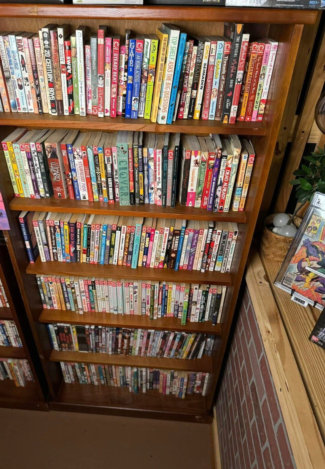 Manga Book Lot Mixed English Ten 10 Book Random Mix Anime