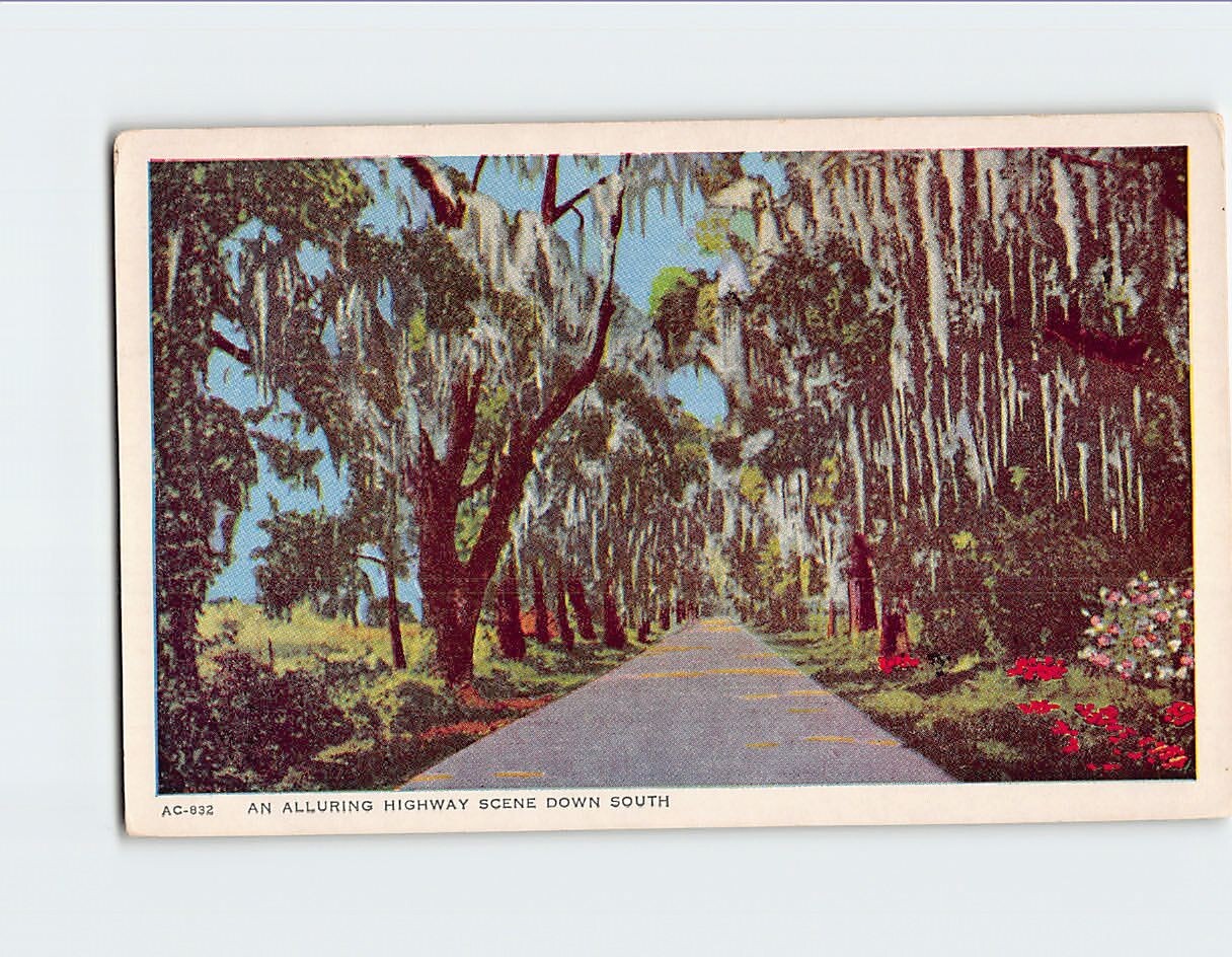 An Alluring Highway Scene Down South Q-61739