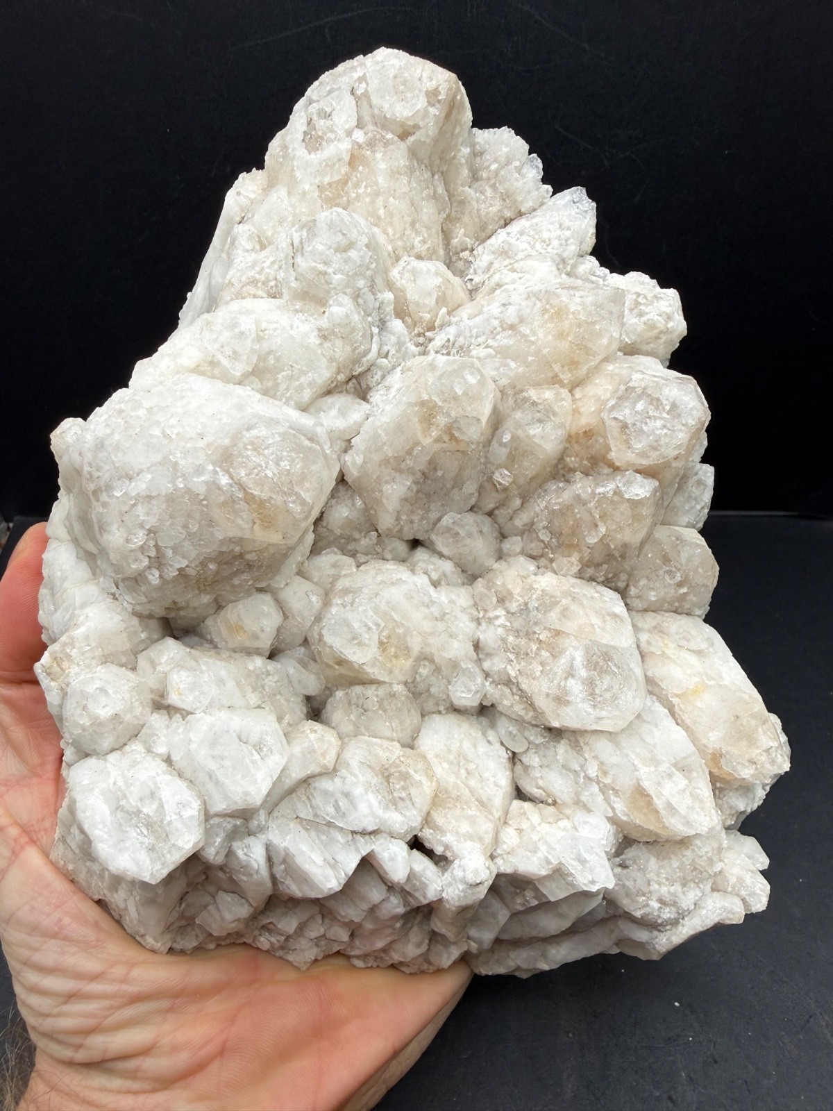 Large Camp Bird Mine Quartz Crystal Cluster Ouray Colorado Specimen 5 lb 14 oz Large Camp Bird Mine Quartz Crystal Cluster Ouray Colorado Specimen 5 lb 14 oz