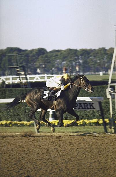 Horse Racing Woodward Stakes Eddie Arcaro aboard Kelso at Belmont - Old Photo