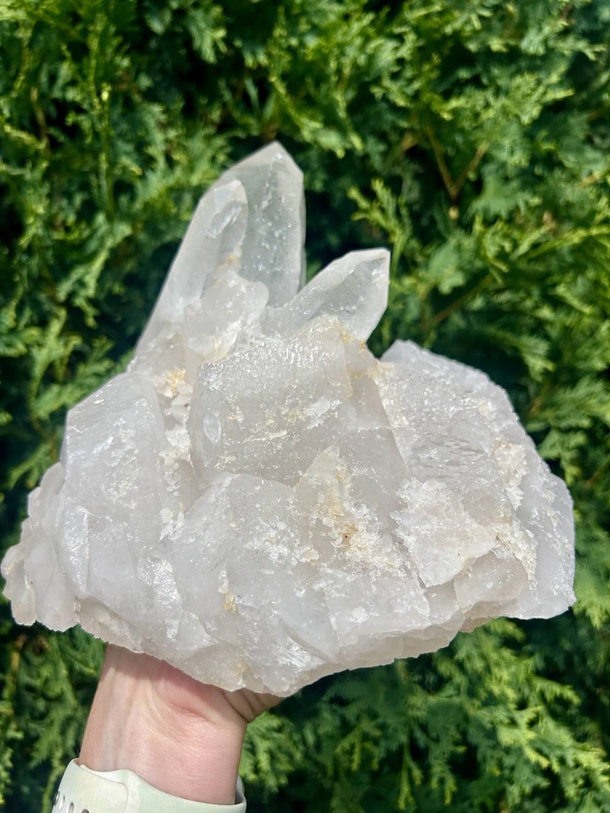Clear Quartz Himalayan Crystal Cluster 7 lb 11 oz Large 8x7” Mineral Specimen