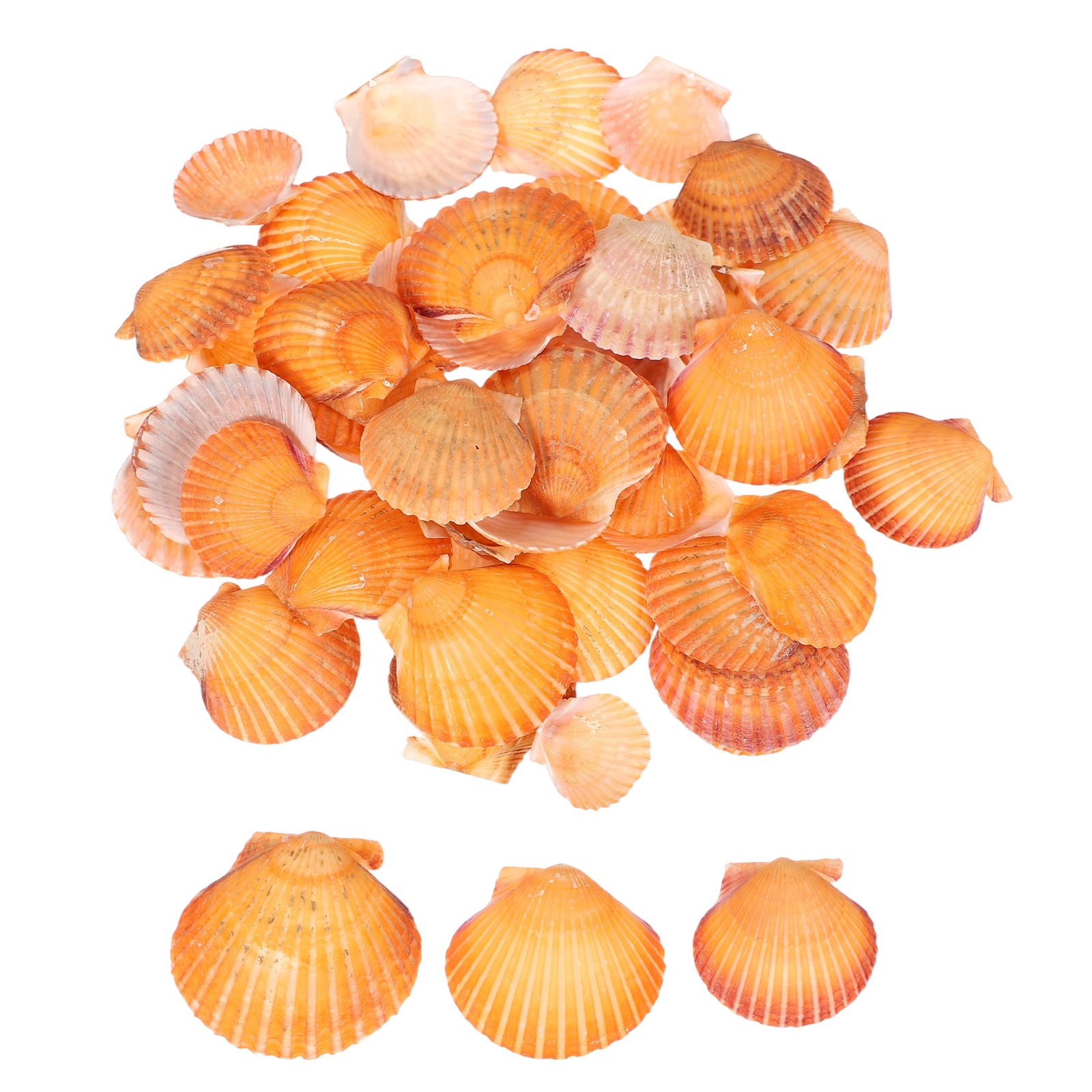 60Pcs 1.6\