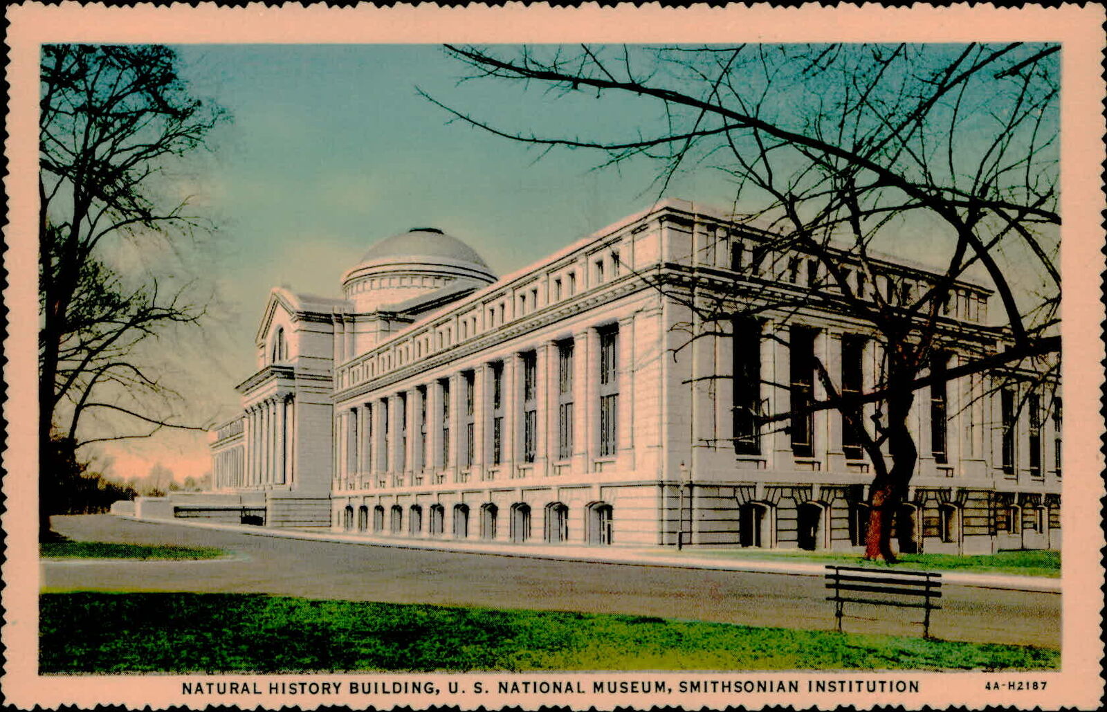 Postcard: NATURAL HISTORY BUILDING, U. S. NATIONAL MUSEUM, SMITHSONIAN