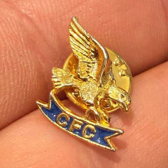 Fraternal Order of Eagles FOE Gold Tone Eagle Lapel Pin Pinback