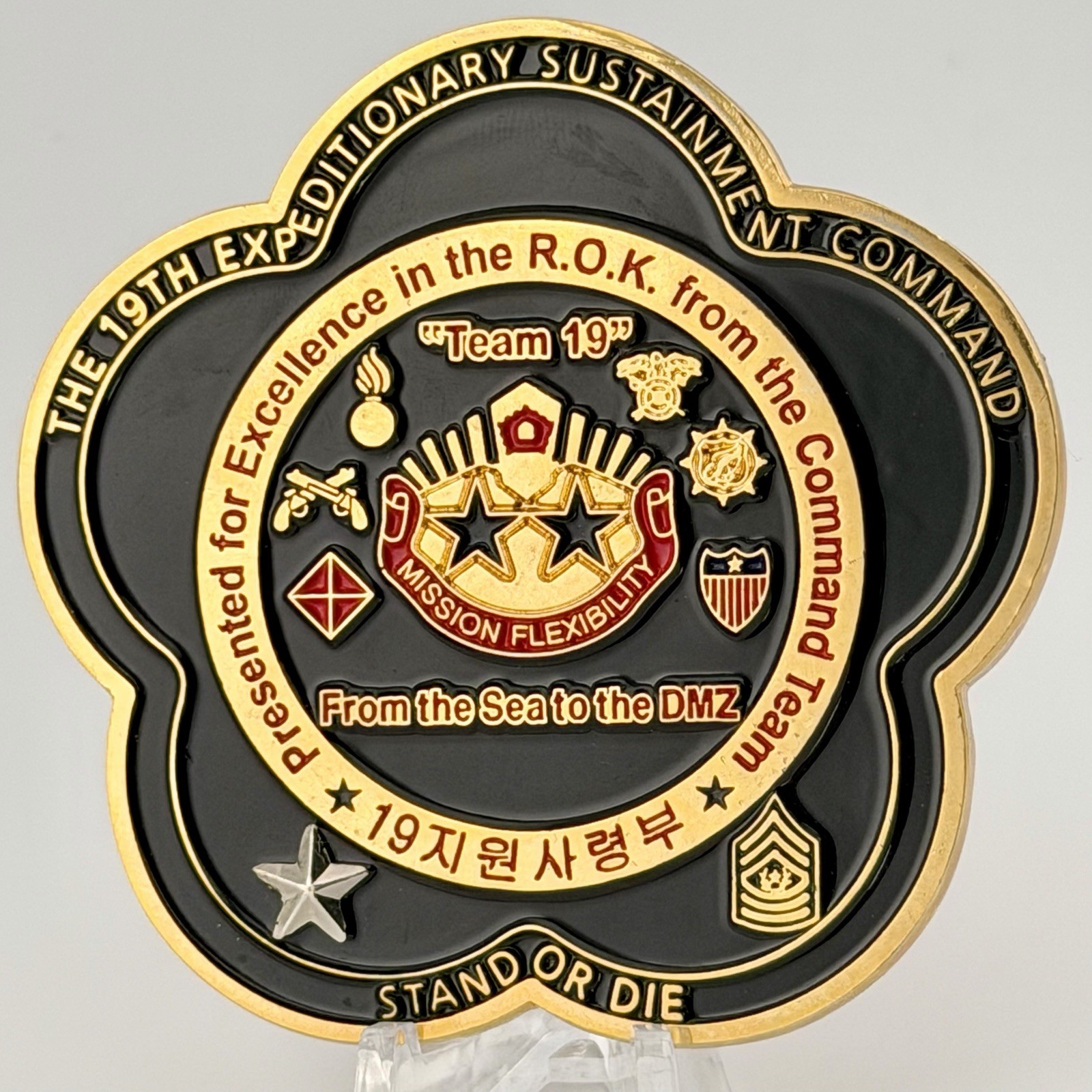 19th ESC Korea Brigadier General CSM Command Team Presentation Challenge Coin