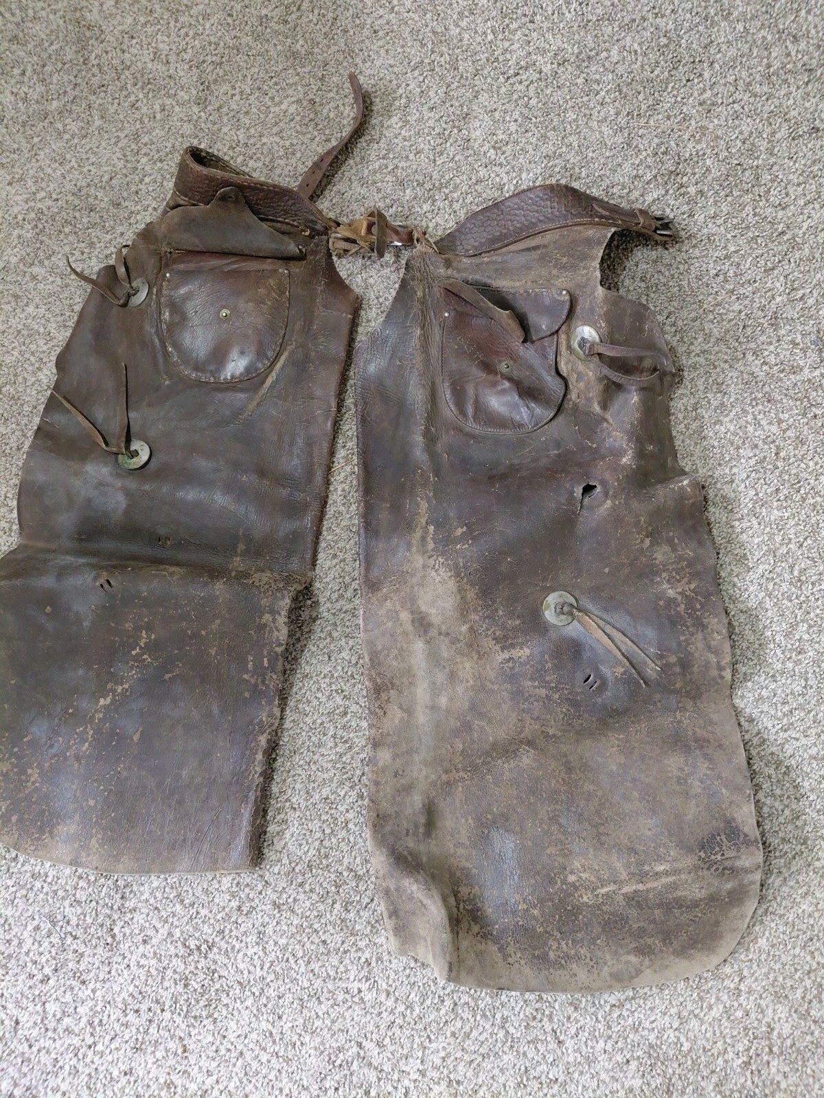 Antique Early 1900s Cowboy Leather Suede Chaps With Conchos