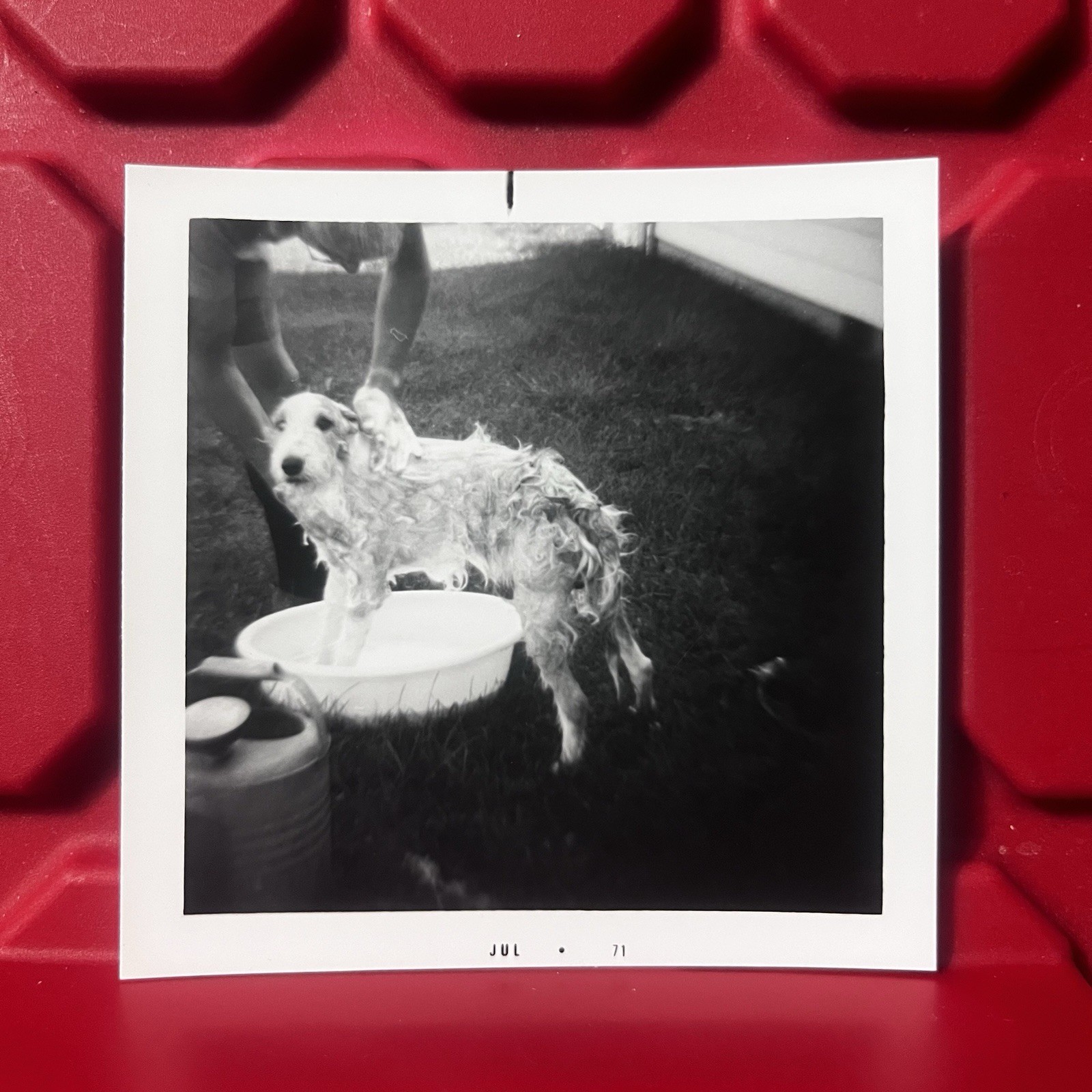 Man Washing Dog Outside 3 1/2 x 3 1/2 Photograph Pre Owned Vintage 1971