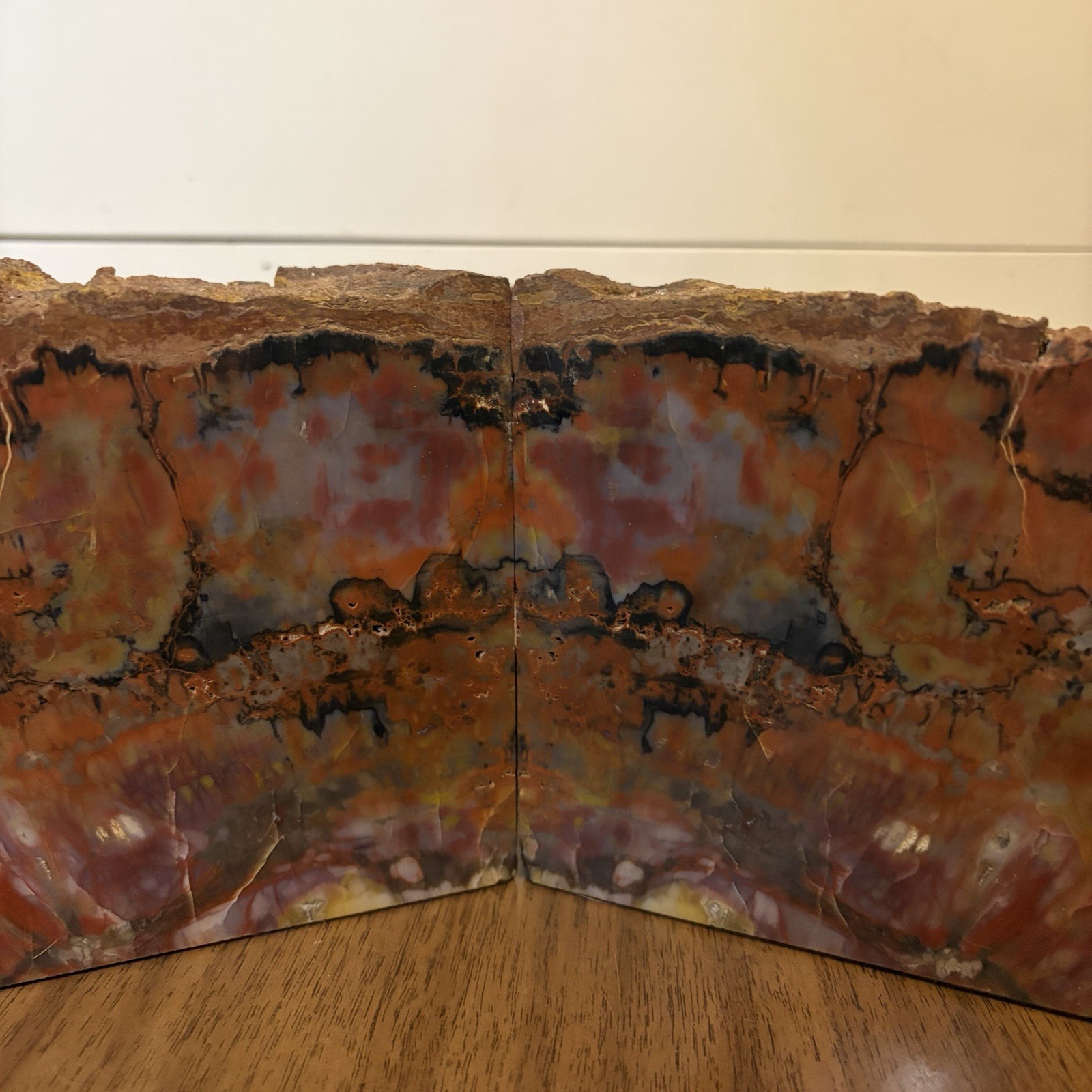 Arizona Rainbow Petrified Wood Bookends Bookmatched Pair Large Polished Fossil
