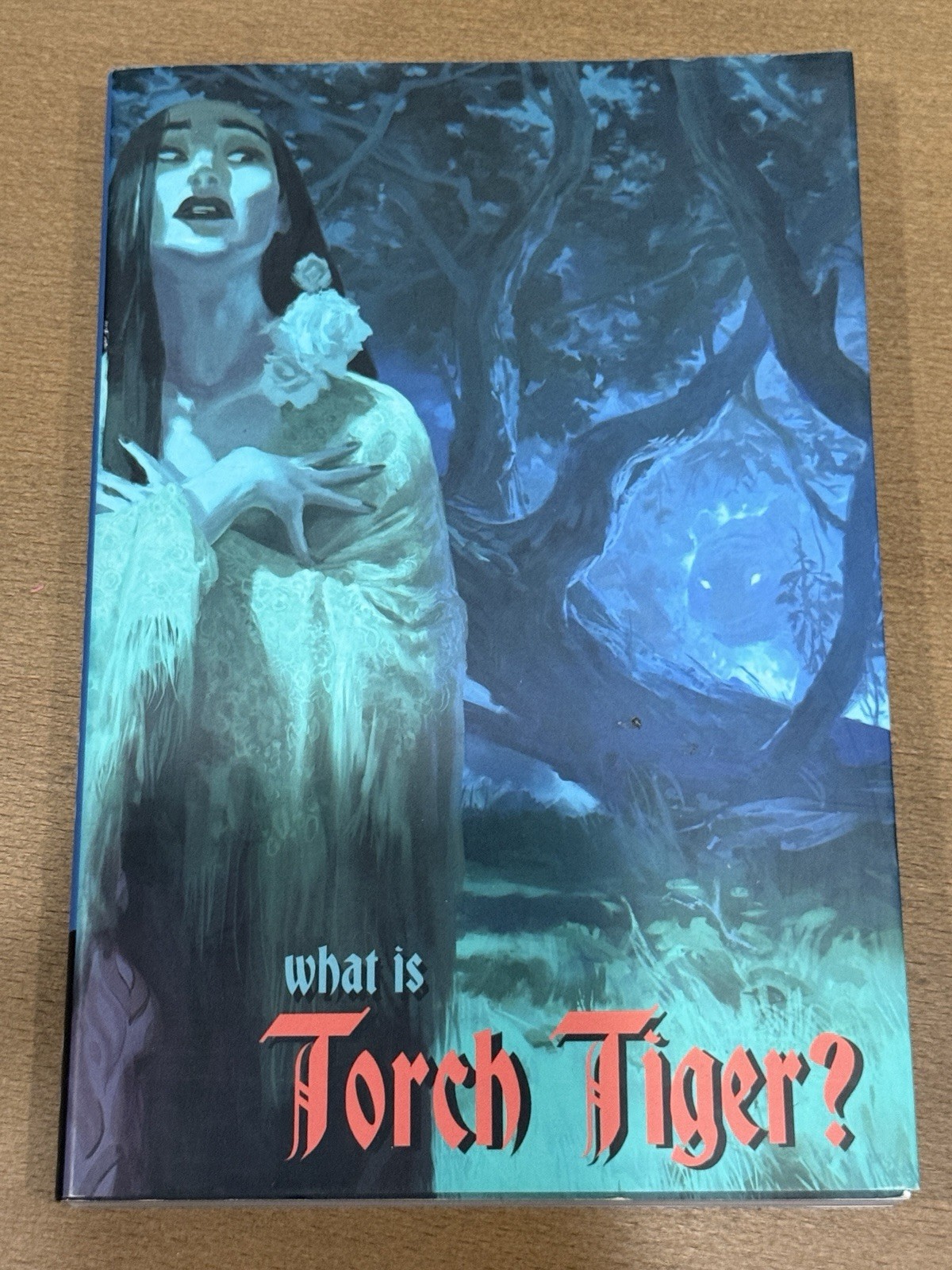 What Is Torch Tiger Disney Artist Compilation Book