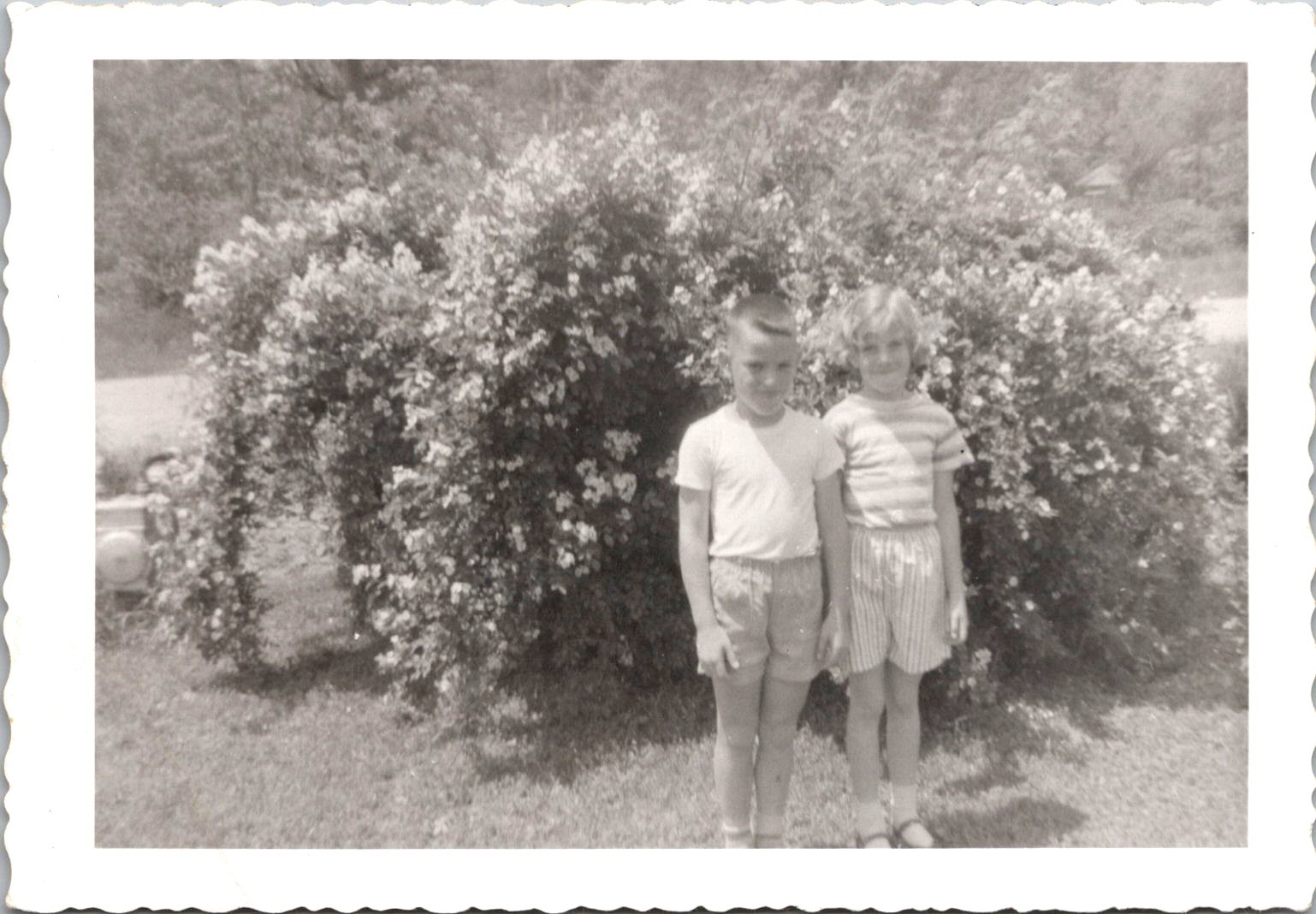 Two Smiling Children by Flower Bush, 1950s Deckle Edge Snapshot Photo Two Smiling Children by Flower Bush, 1950s Deckle Edge Snapshot Photo