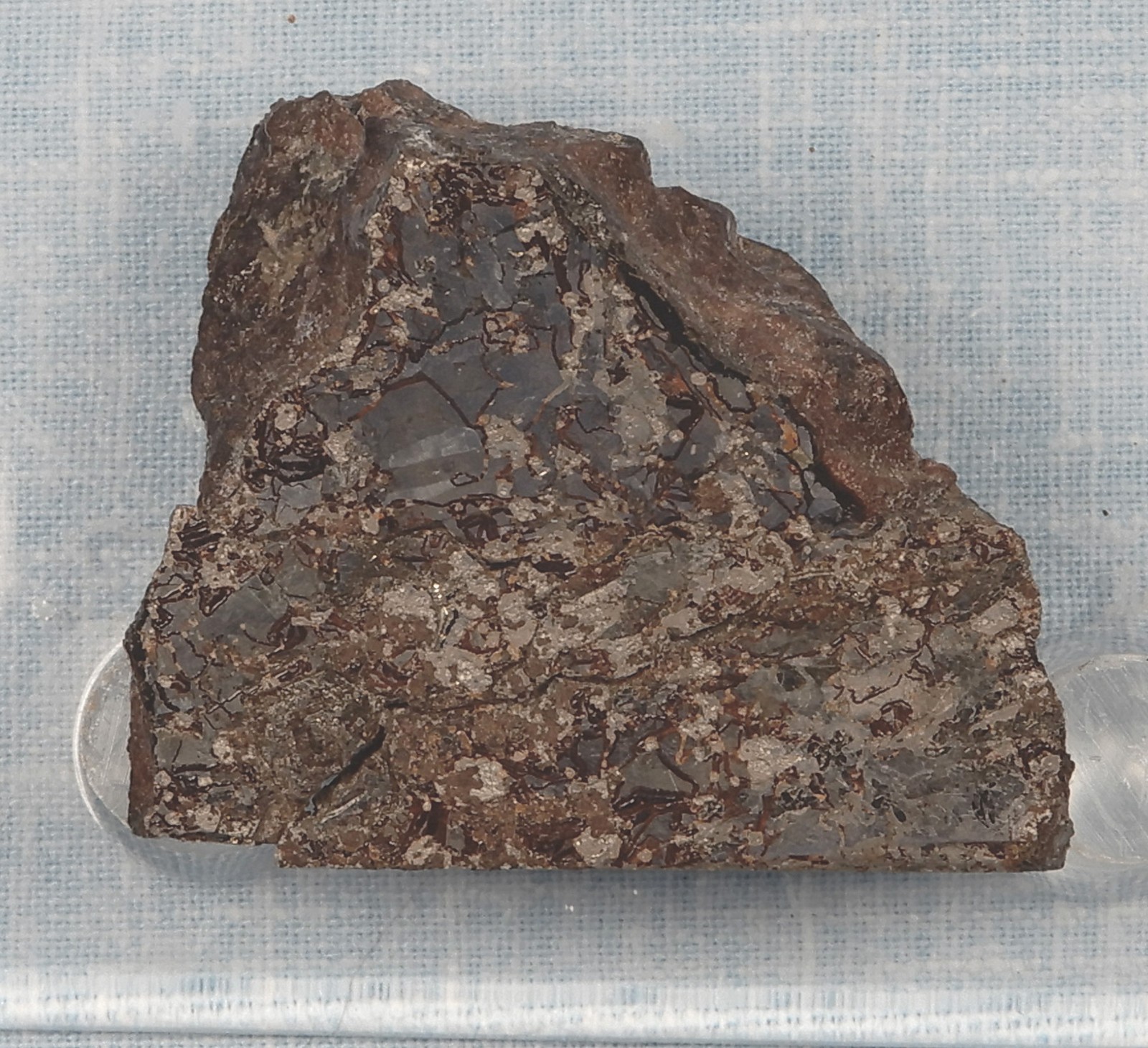 Odessa iron meteorite, 88 gram cut end piece