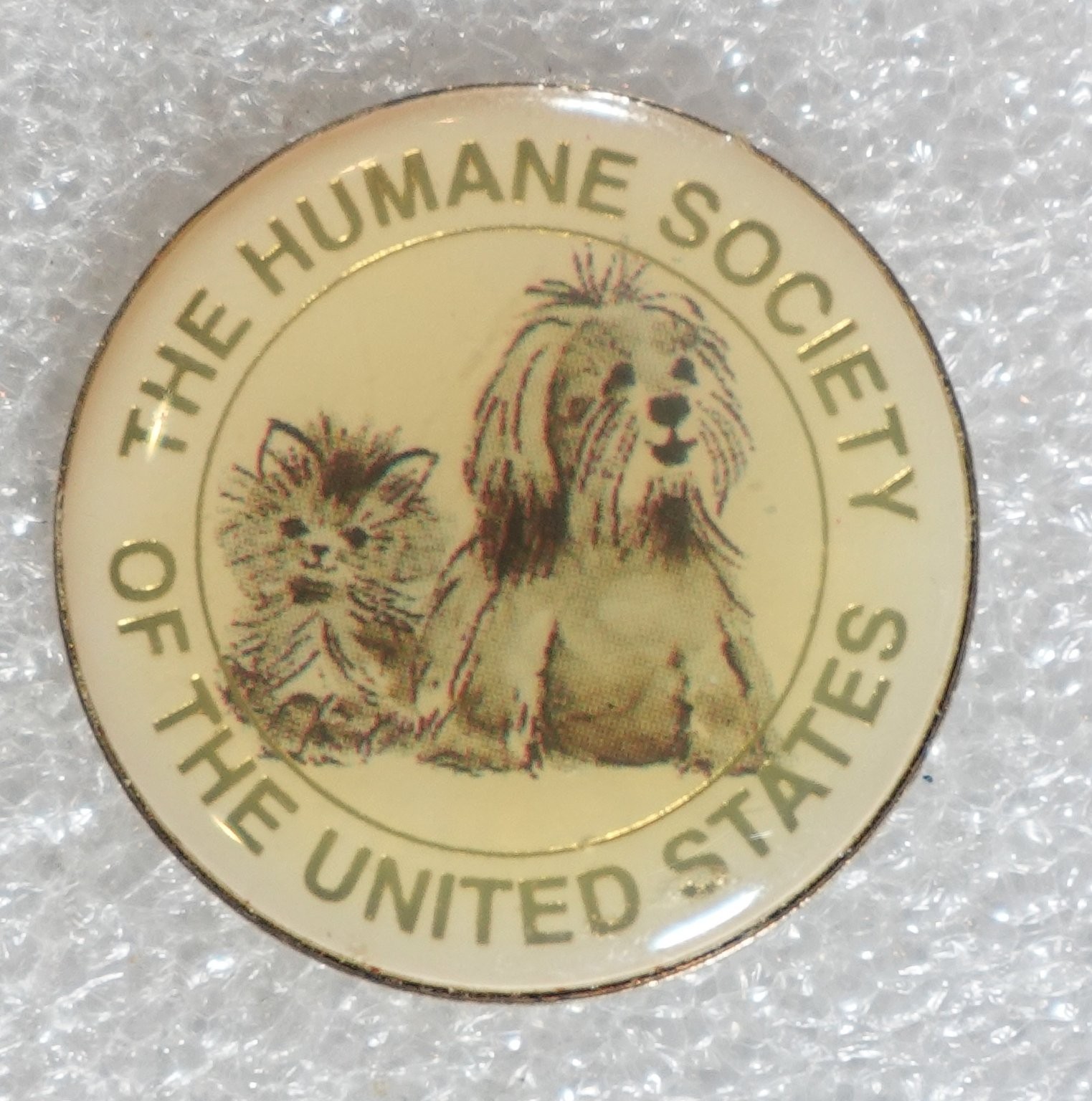 Humane Society of the United States Pinback Button Cat Dog Animal Welfare Approx