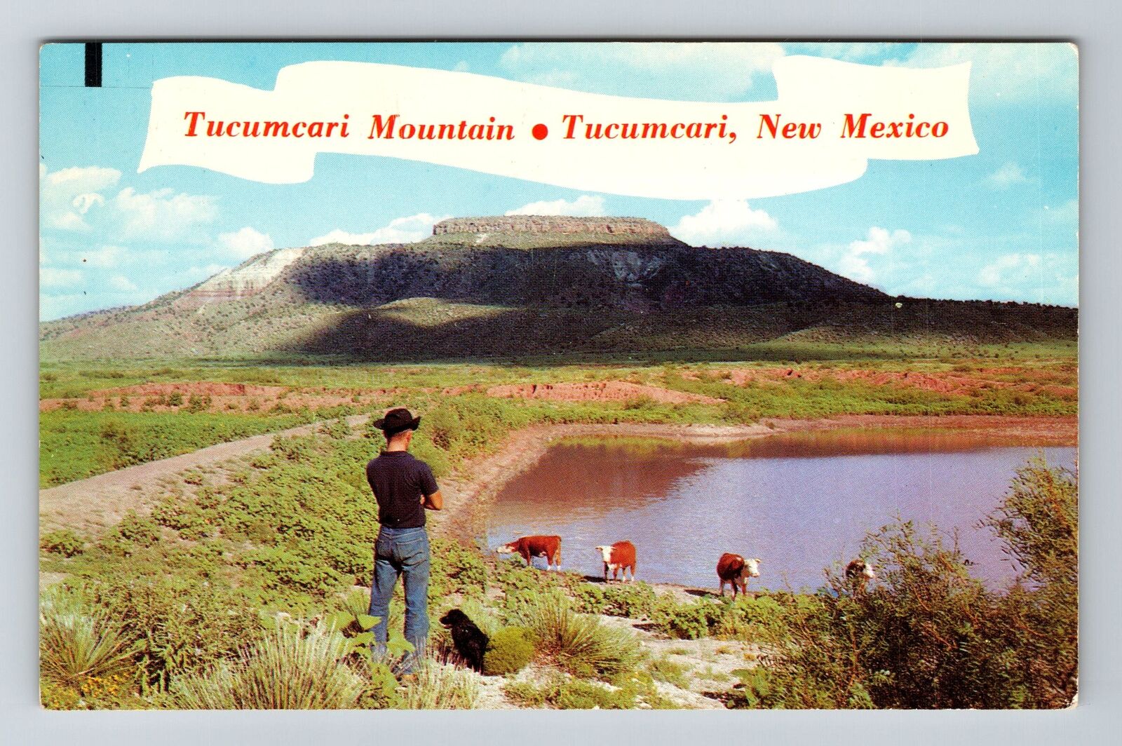 Tucumcari NM-New Mexico, Tucumcari Mountain, Scenic, Vintage Postcard