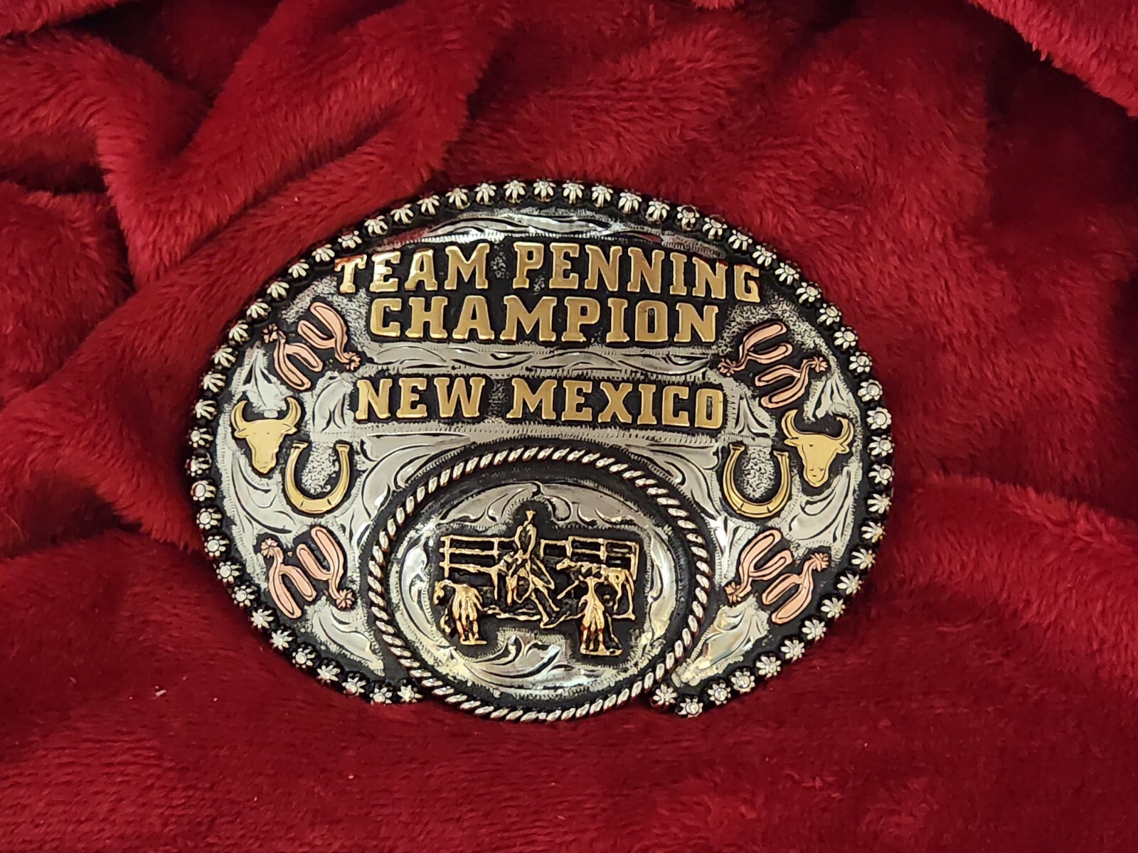 CHAMPION TROPHY RODEO BUCKLE☆NEW MEXICO PRO TEAM PENNING☆VINTAGE☆RARE☆168