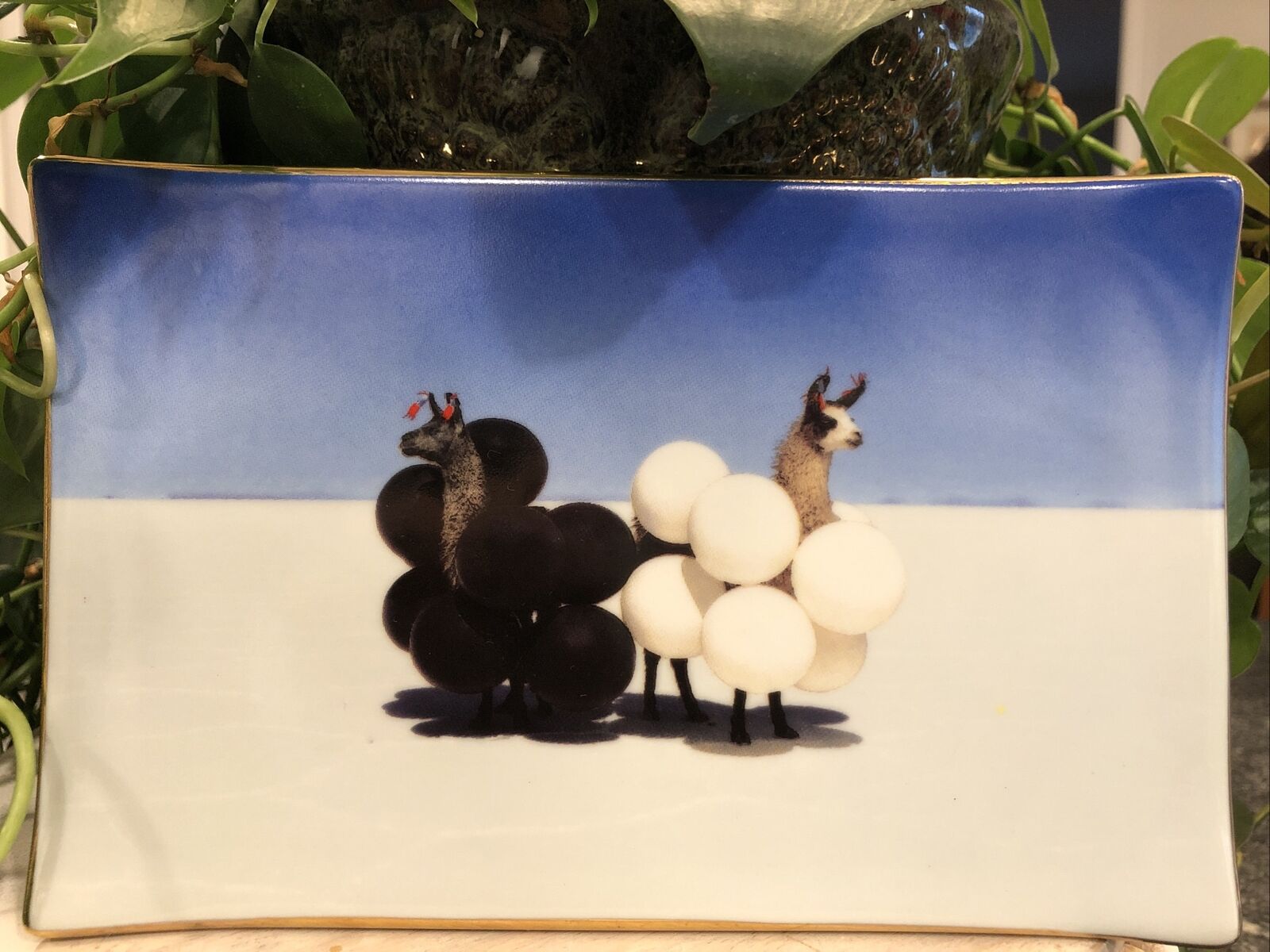 Galison Gray Malin Llamas w Balloons Rectangle Porcelain Trinket Tray Dish