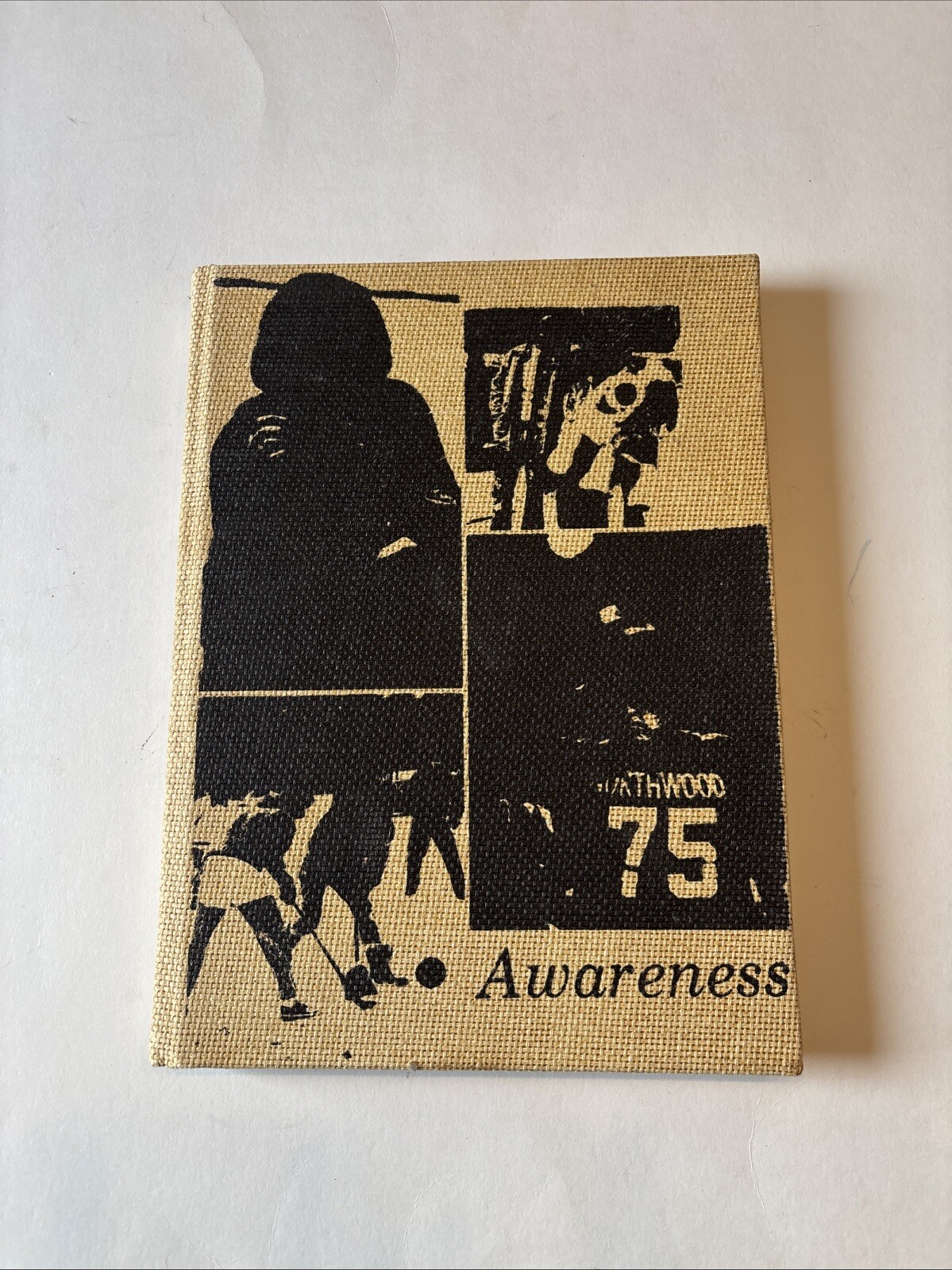 Northwood Institute Yearbook Awareness 1975