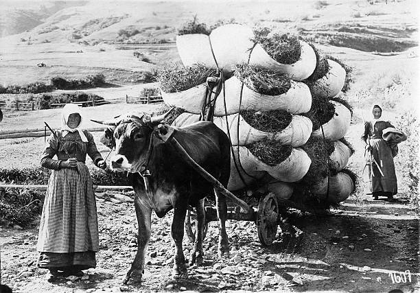 Switzerland Canton Of Graubuenden Lower Engadine Valley 1910 OLD PHOTO