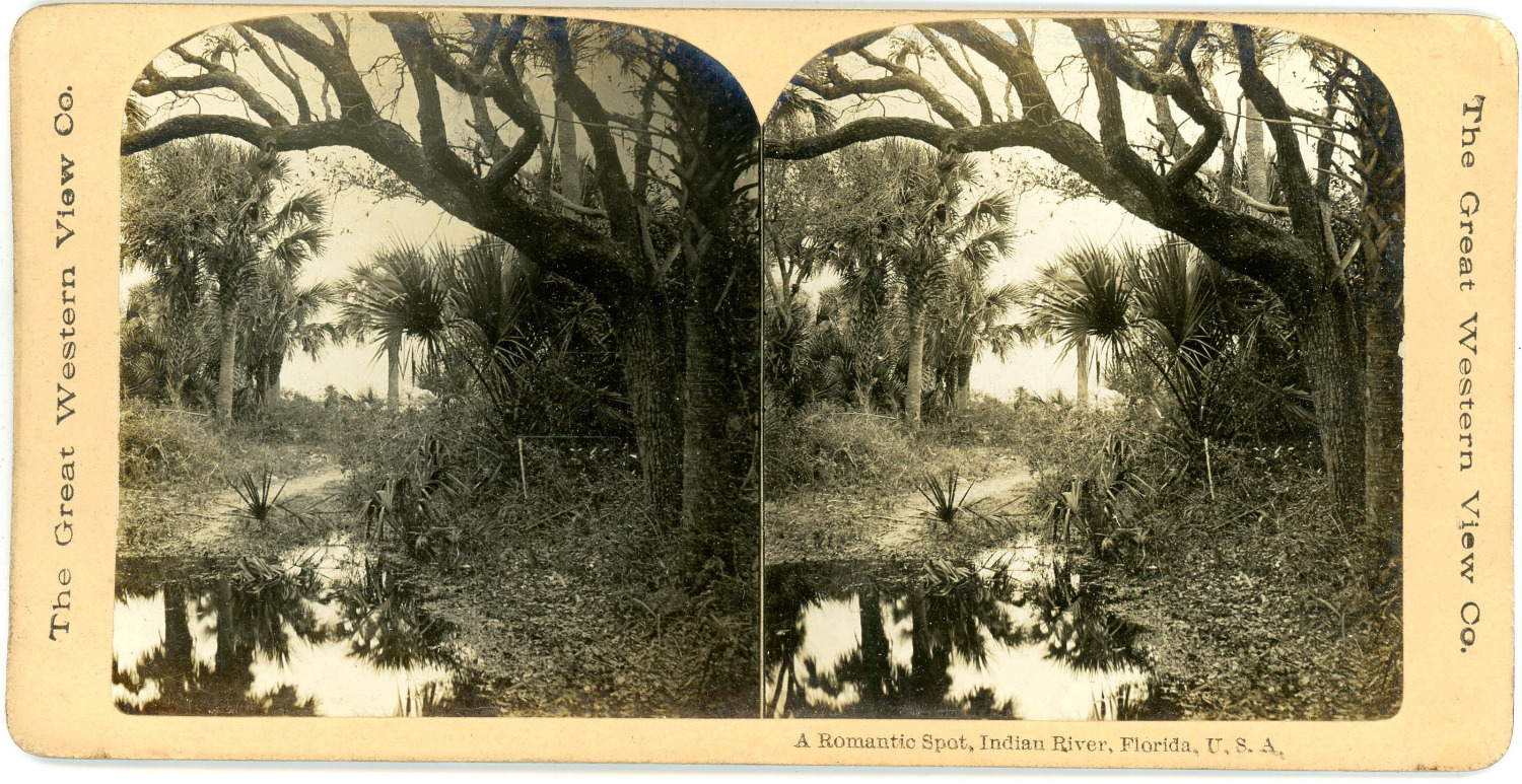 Stereo, USA, Florida, a romantic spot, Indian river vintage stereo card - T