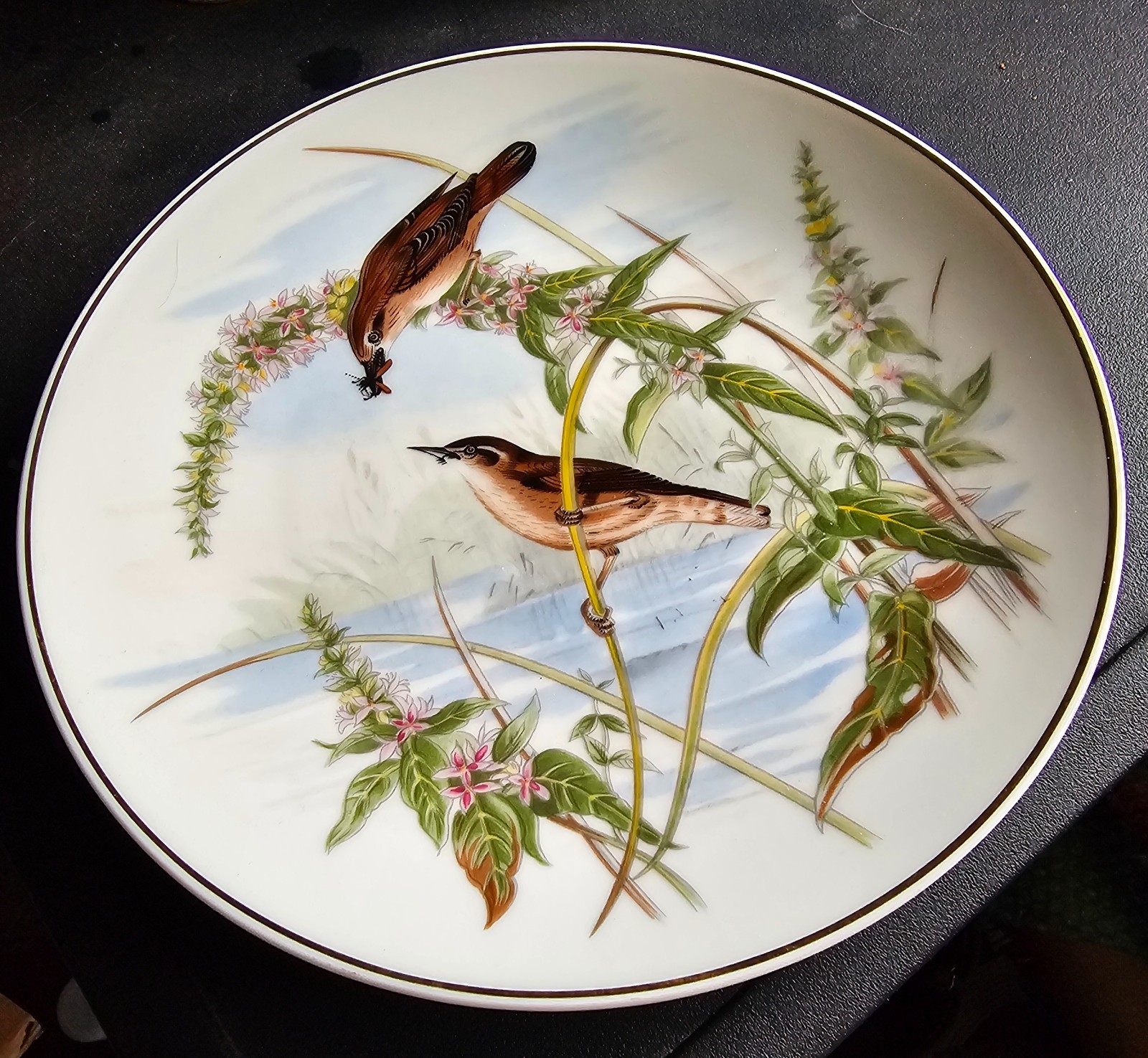 Vintage Bewick\'s Wren Porcelain Plate- Made in Germany