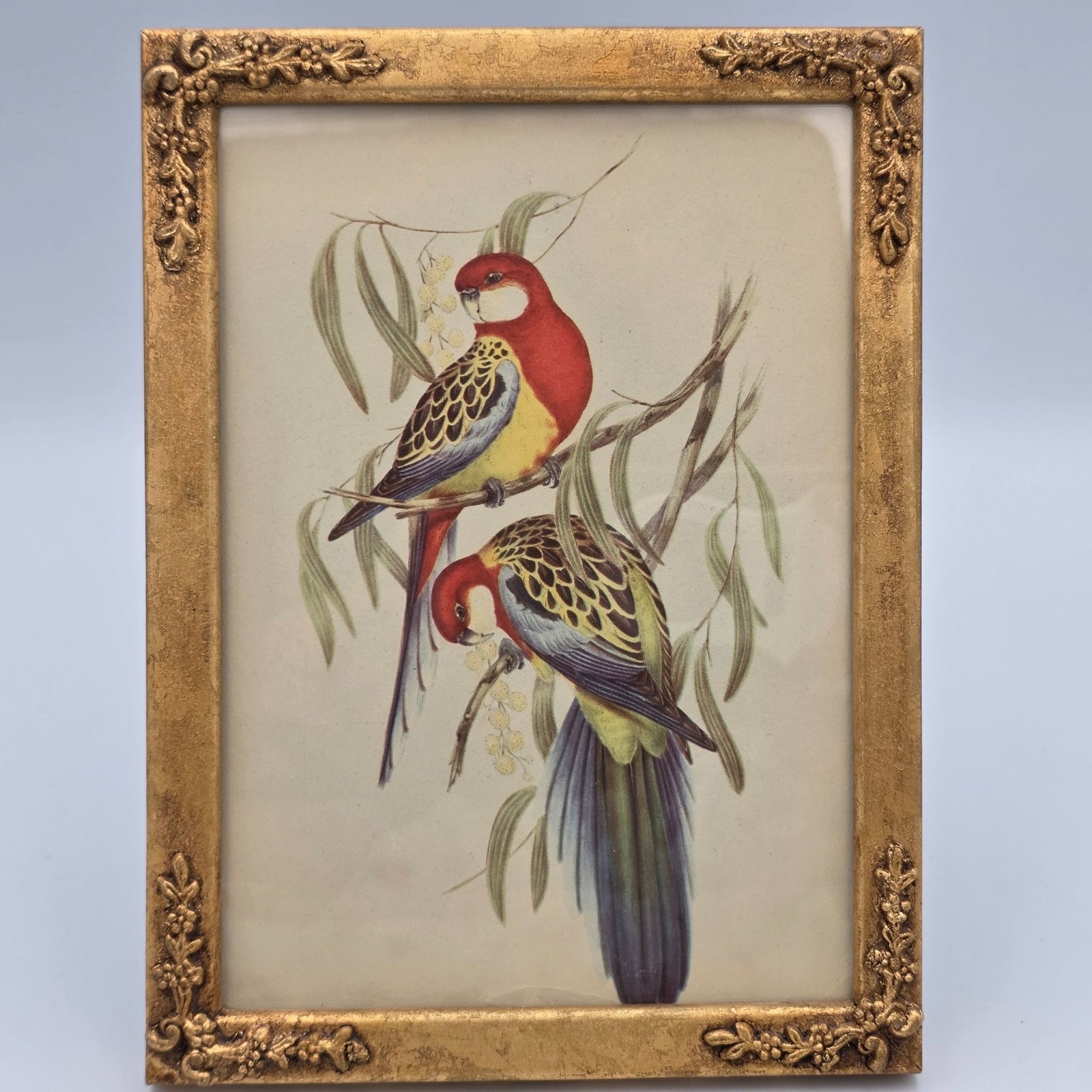 Antique Ornate Wood Picture Frame Bird Illustration Art Print Floral Detailing 6